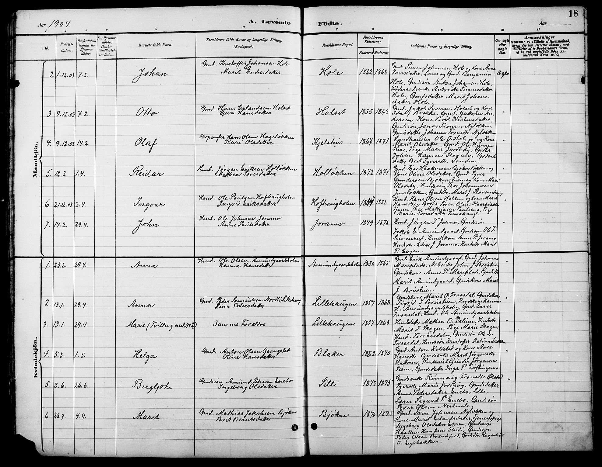 Lesja prestekontor, SAH/PREST-068/H/Ha/Hab/L0007: Parish register (copy) no. 7, 1895-1919, p. 18