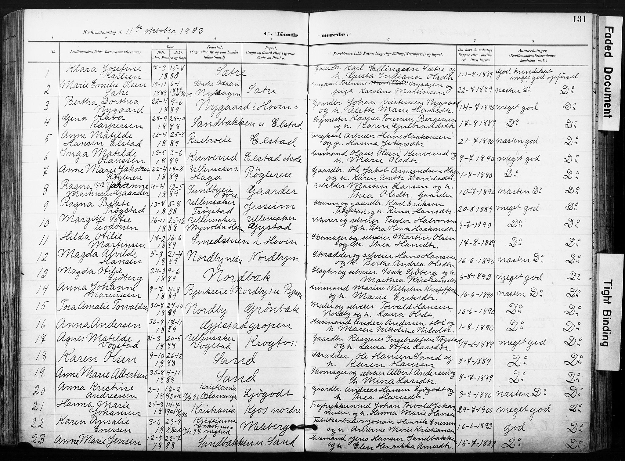 Ullensaker prestekontor Kirkebøker, AV/SAO-A-10236a/F/Fb/L0002: Parish register (official) no. II 2, 1894-1909, p. 131