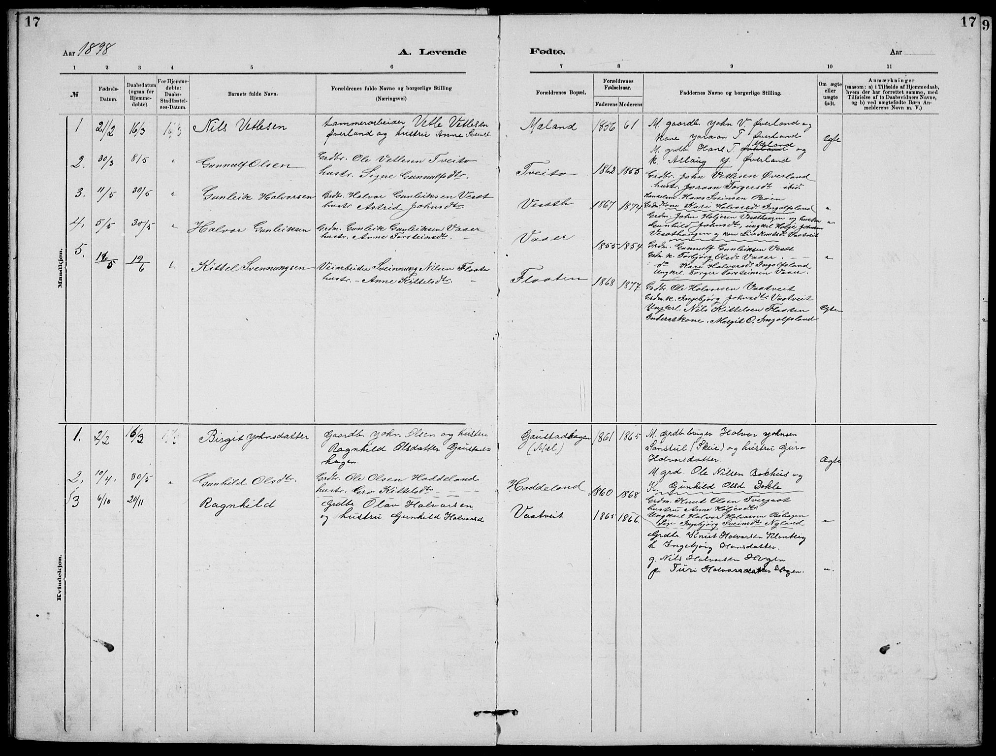 Rjukan kirkebøker, AV/SAKO-A-294/G/Ga/L0001: Parish register (copy) no. 1, 1880-1914, p. 17