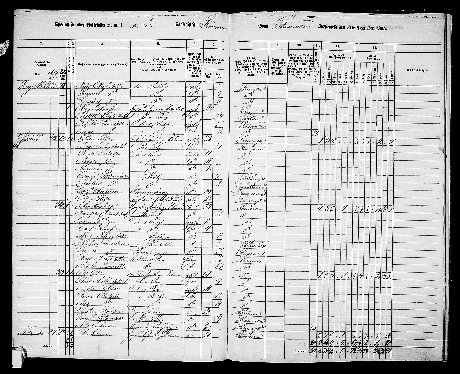 RA, 1865 census for Strømm, 1865, p. 38