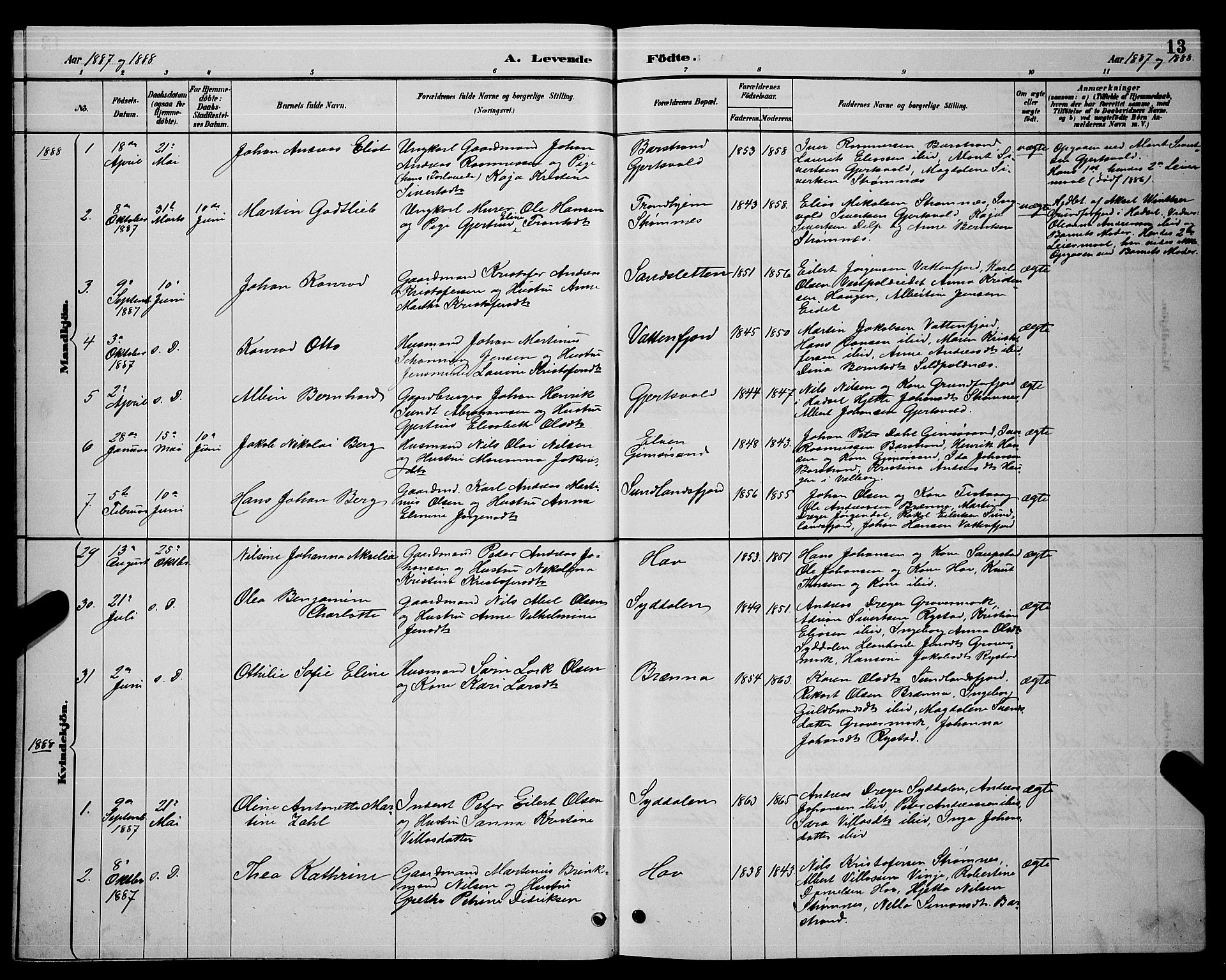 Ministerialprotokoller, klokkerbøker og fødselsregistre - Nordland, AV/SAT-A-1459/876/L1104: Parish register (copy) no. 876C03, 1886-1896, p. 13