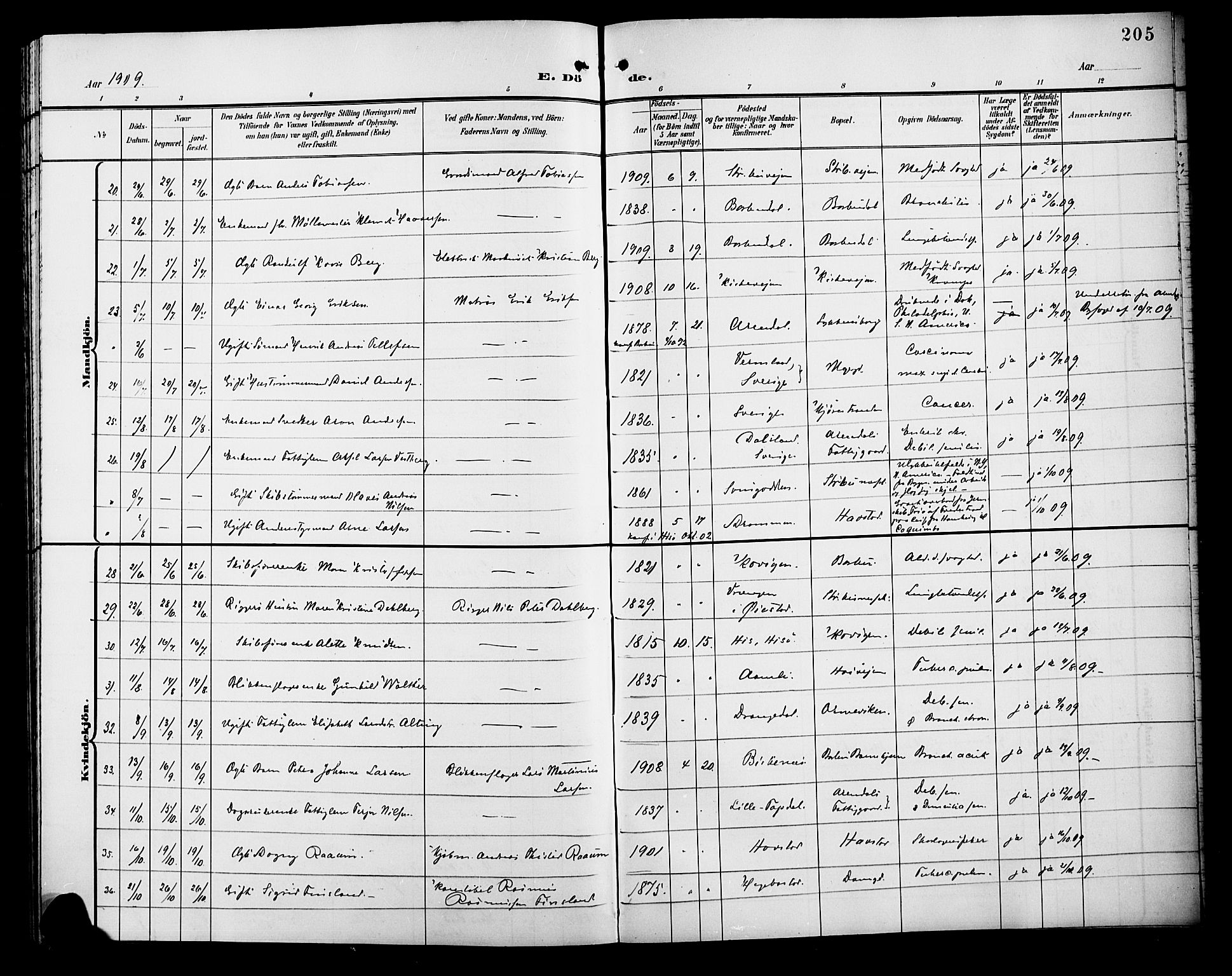 Barbu sokneprestkontor, AV/SAK-1111-0003/F/Fb/L0003: Parish register (copy) no. B 3, 1897-1911, p. 205