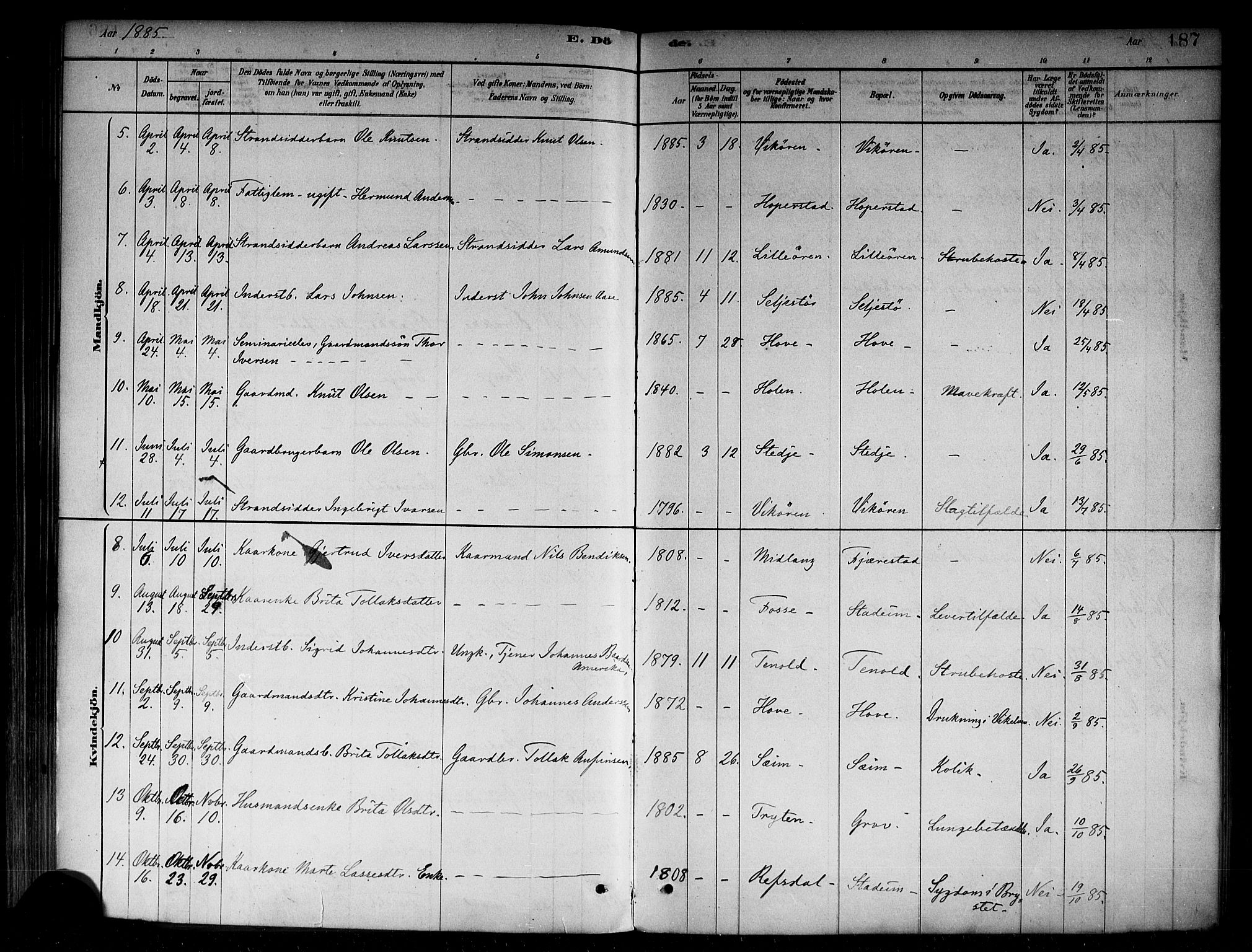 Vik sokneprestembete, AV/SAB-A-81501/H/Haa/Haab/L0001: Parish register (official) no. B 1, 1878-1890, p. 187