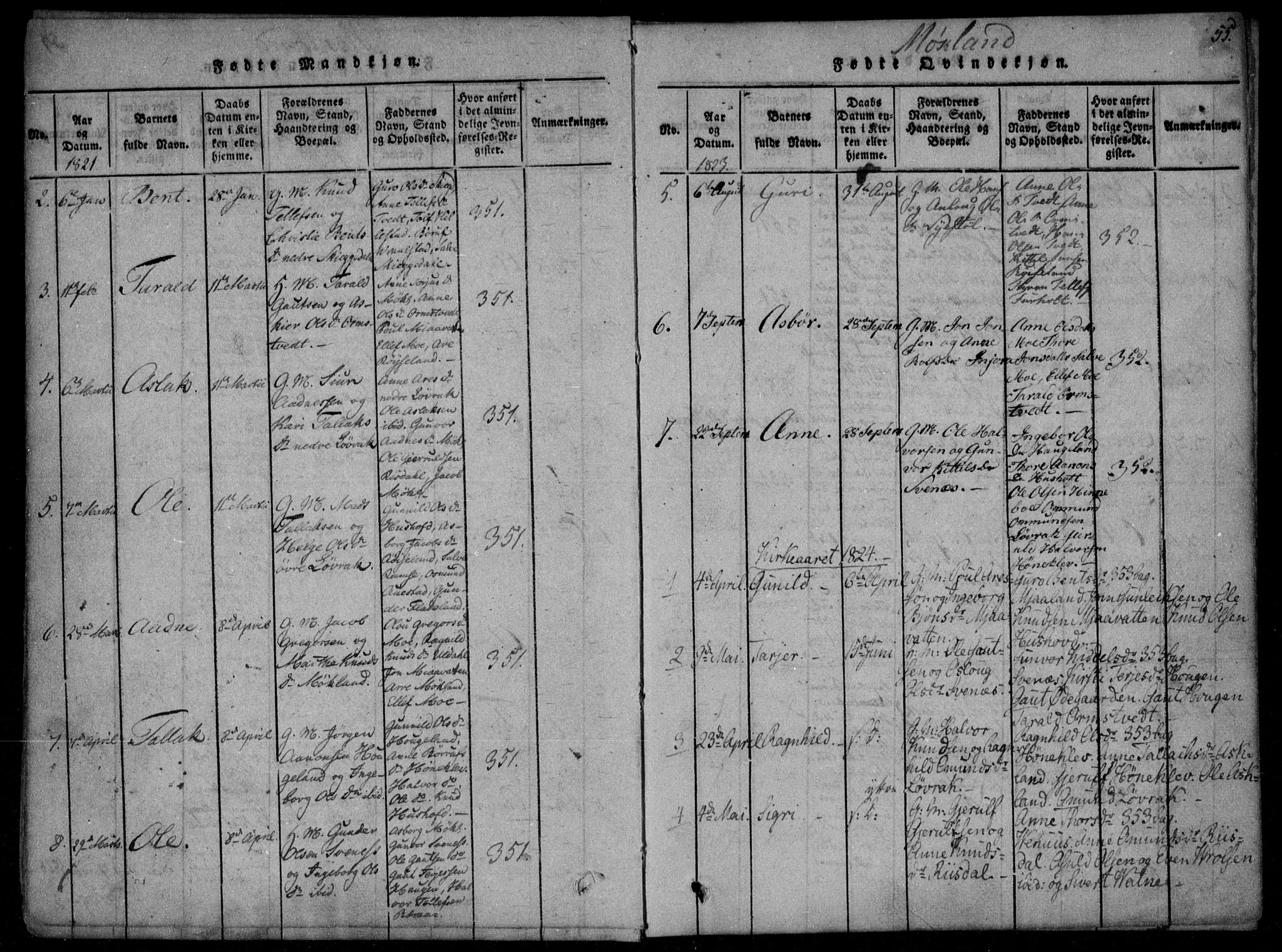 Åmli sokneprestkontor, AV/SAK-1111-0050/F/Fa/Fac/L0006: Parish register (official) no. A 6, 1816-1829, p. 55