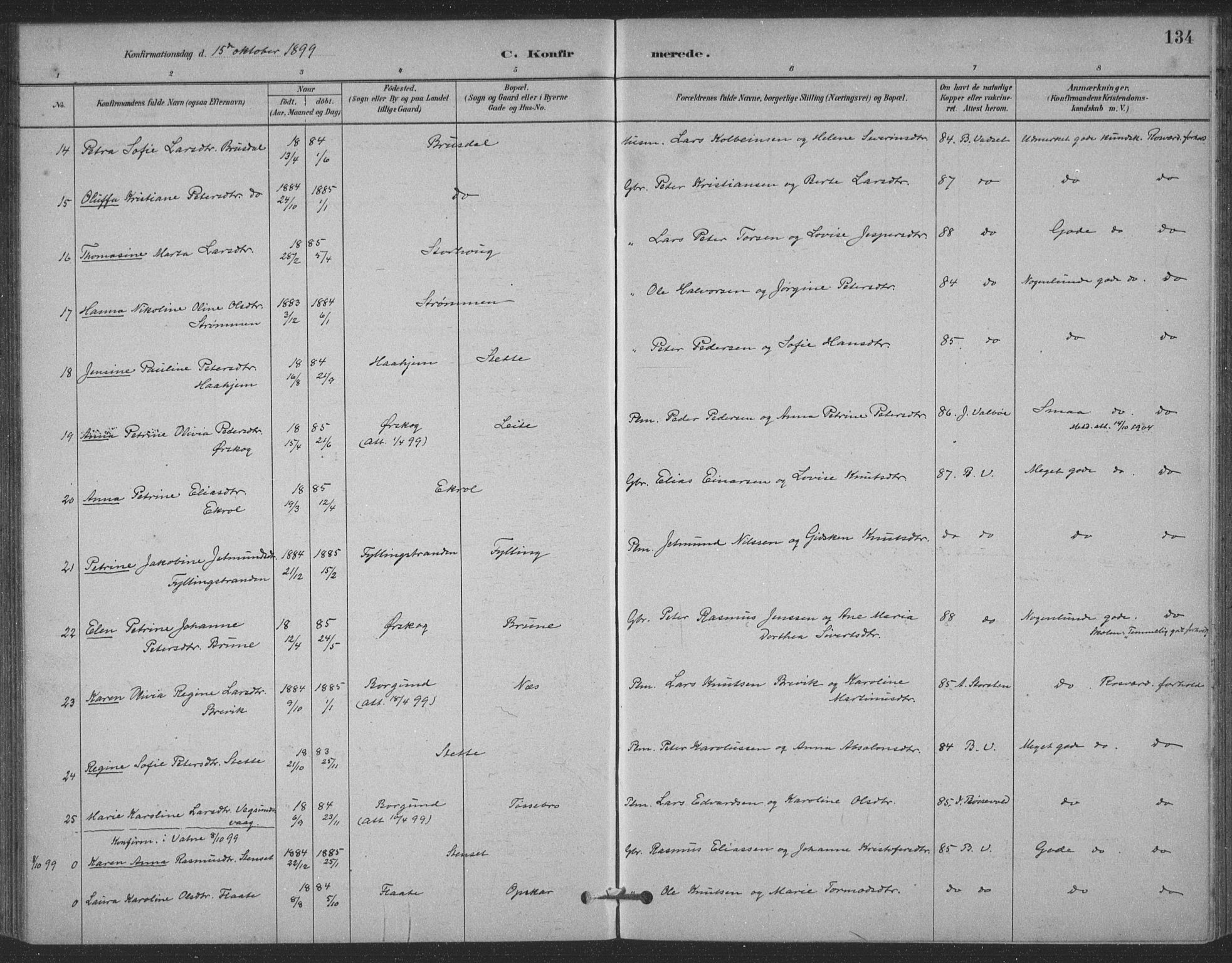 Ministerialprotokoller, klokkerbøker og fødselsregistre - Møre og Romsdal, AV/SAT-A-1454/524/L0356: Parish register (official) no. 524A08, 1880-1899, p. 134