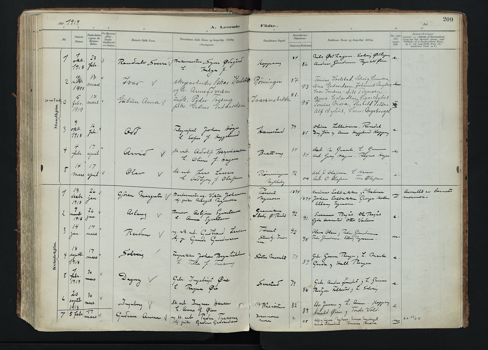 Stor-Elvdal prestekontor, SAH/PREST-052/H/Ha/Haa/L0004: Parish register (official) no. 4, 1890-1922, p. 209