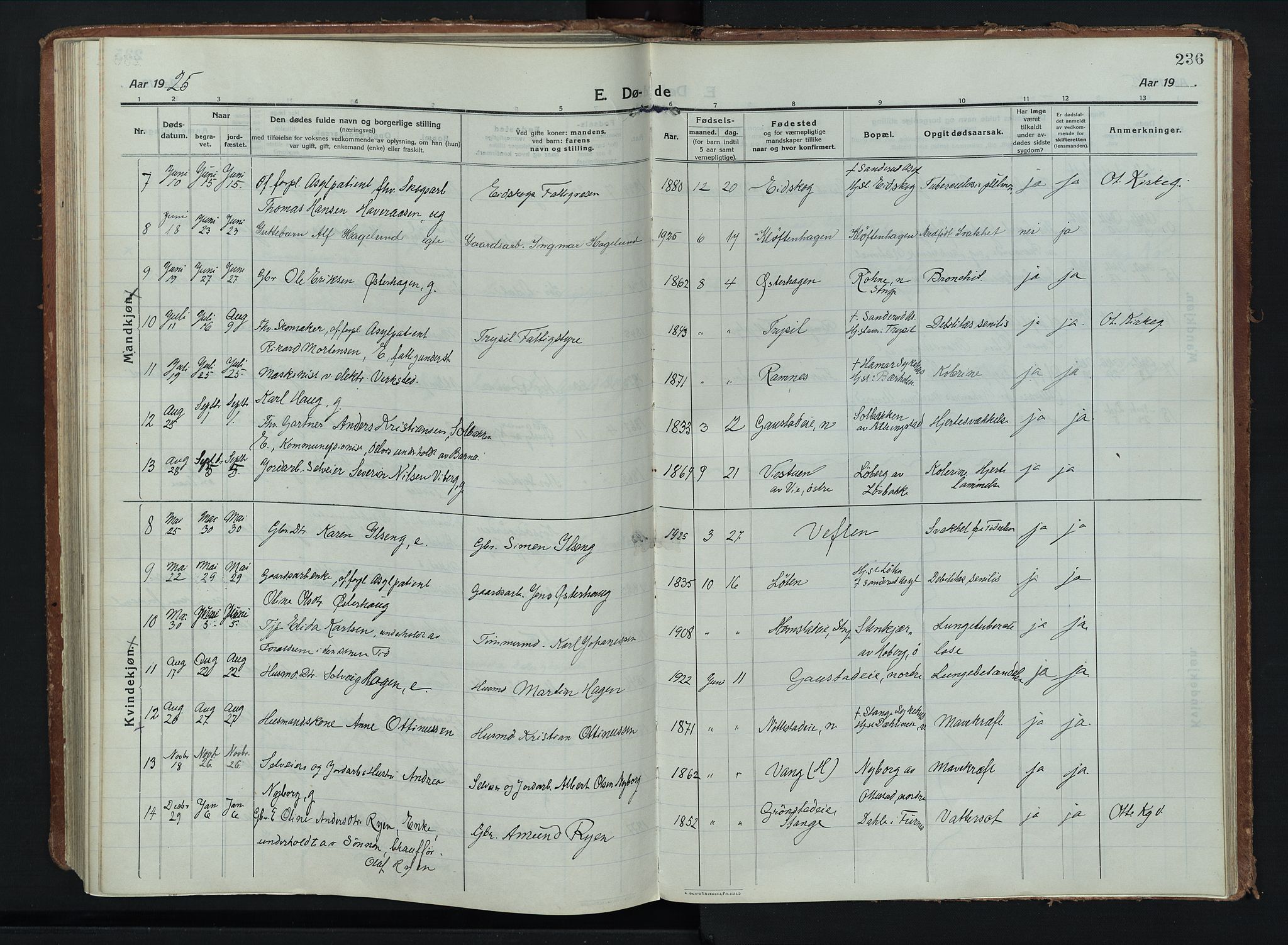 Stange prestekontor, AV/SAH-PREST-002/K/L0028: Parish register (official) no. 28, 1913-1932, p. 236