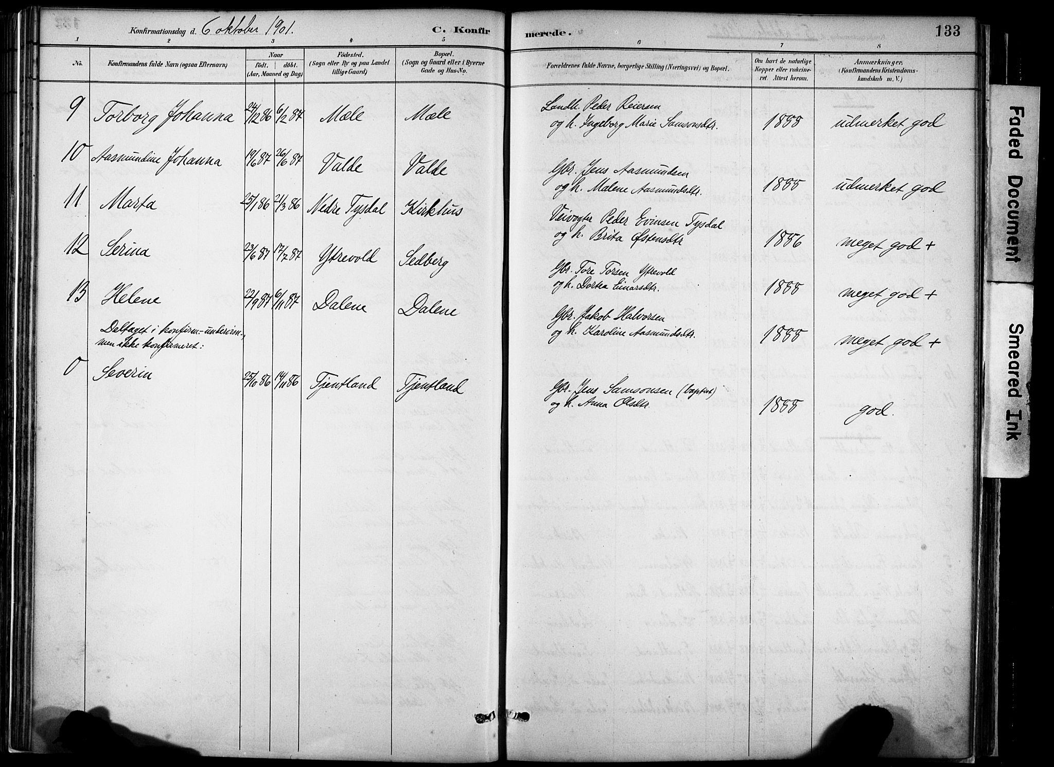 Hjelmeland sokneprestkontor, AV/SAST-A-101843/02/A/L0001: Parish register (official) no. A 16, 1887-1926, p. 133