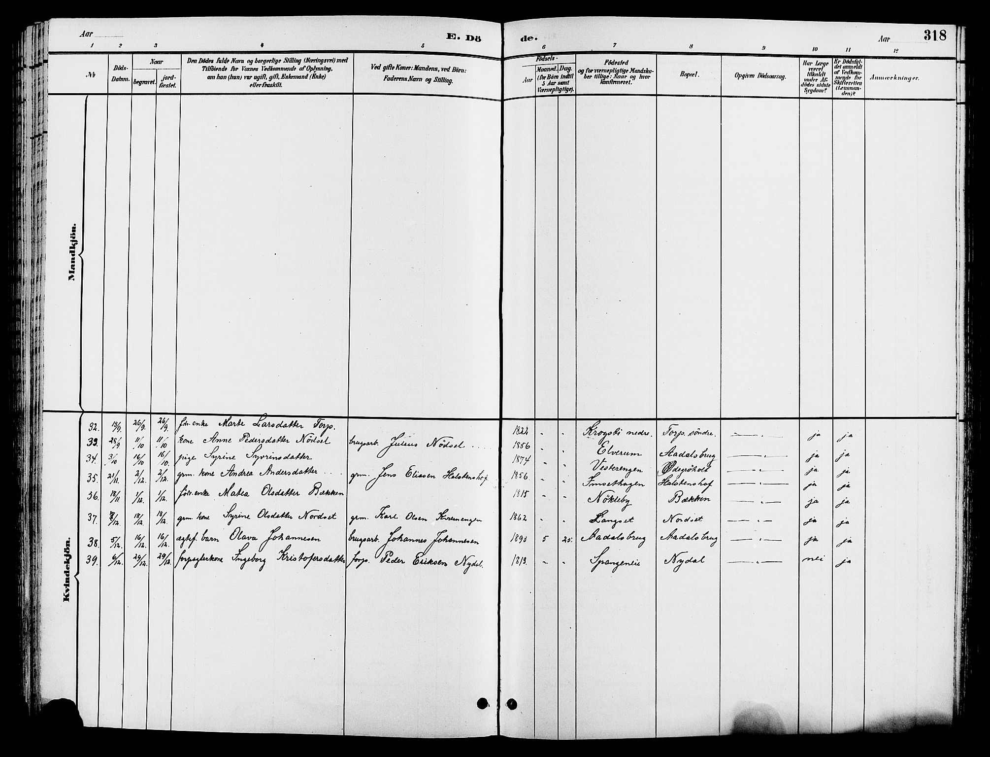 Løten prestekontor, AV/SAH-PREST-022/L/La/L0006: Parish register (copy) no. 6, 1892-1909, p. 318