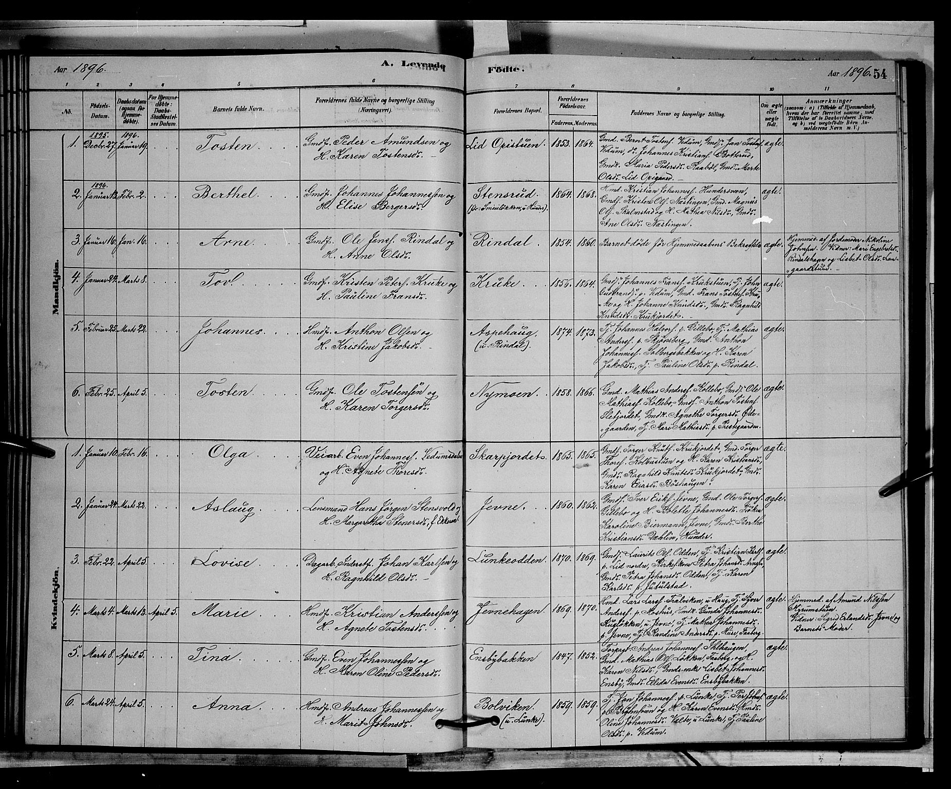 Øyer prestekontor, SAH/PREST-084/H/Ha/Hab/L0002: Parish register (copy) no. 2, 1878-1896, p. 54