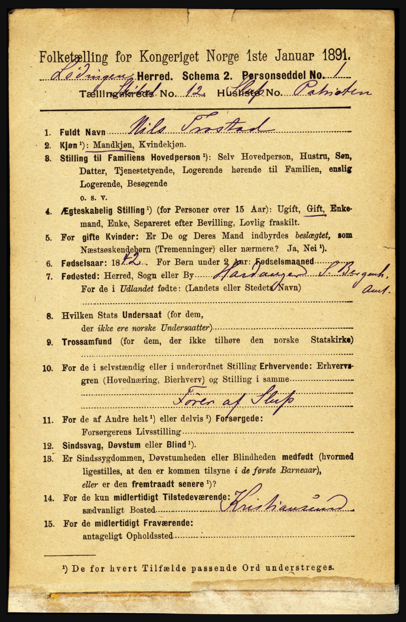 RA, 1891 census for 1851 Lødingen, 1891, p. 3955