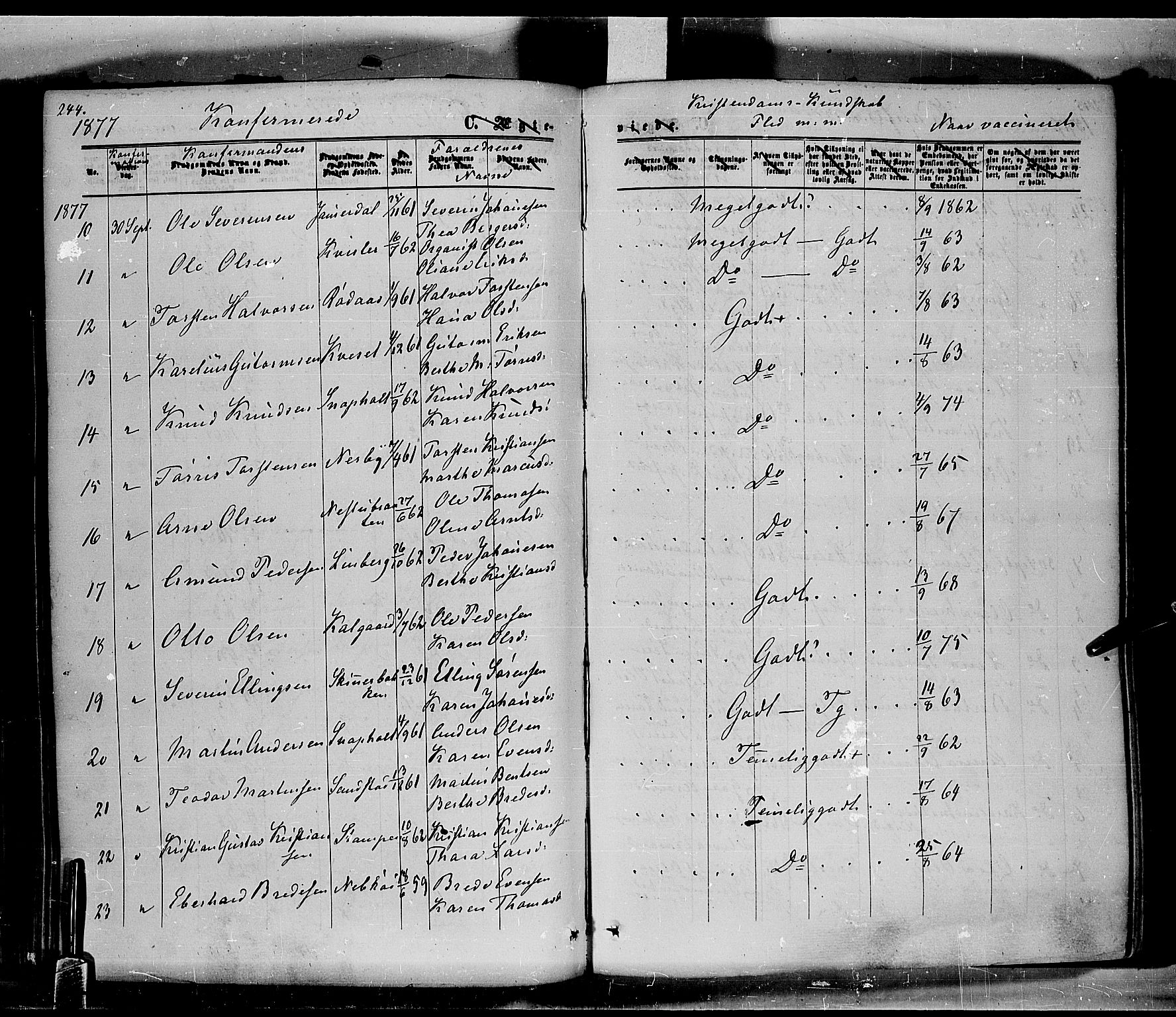 Hof prestekontor, AV/SAH-PREST-038/H/Ha/Haa/L0009: Parish register (official) no. 9, 1862-1877, p. 244