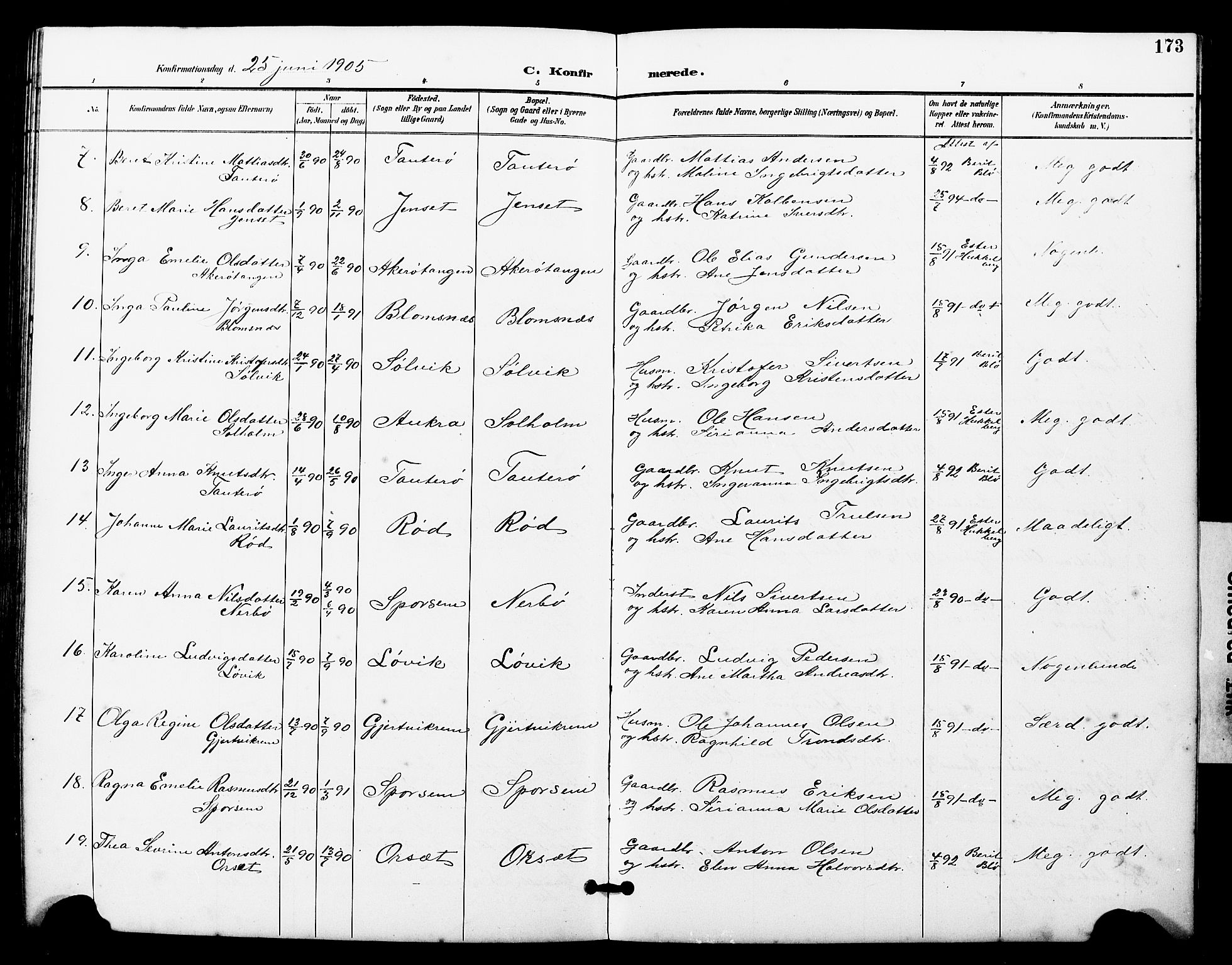 Ministerialprotokoller, klokkerbøker og fødselsregistre - Møre og Romsdal, SAT/A-1454/560/L0725: Parish register (copy) no. 560C02, 1895-1930, p. 173