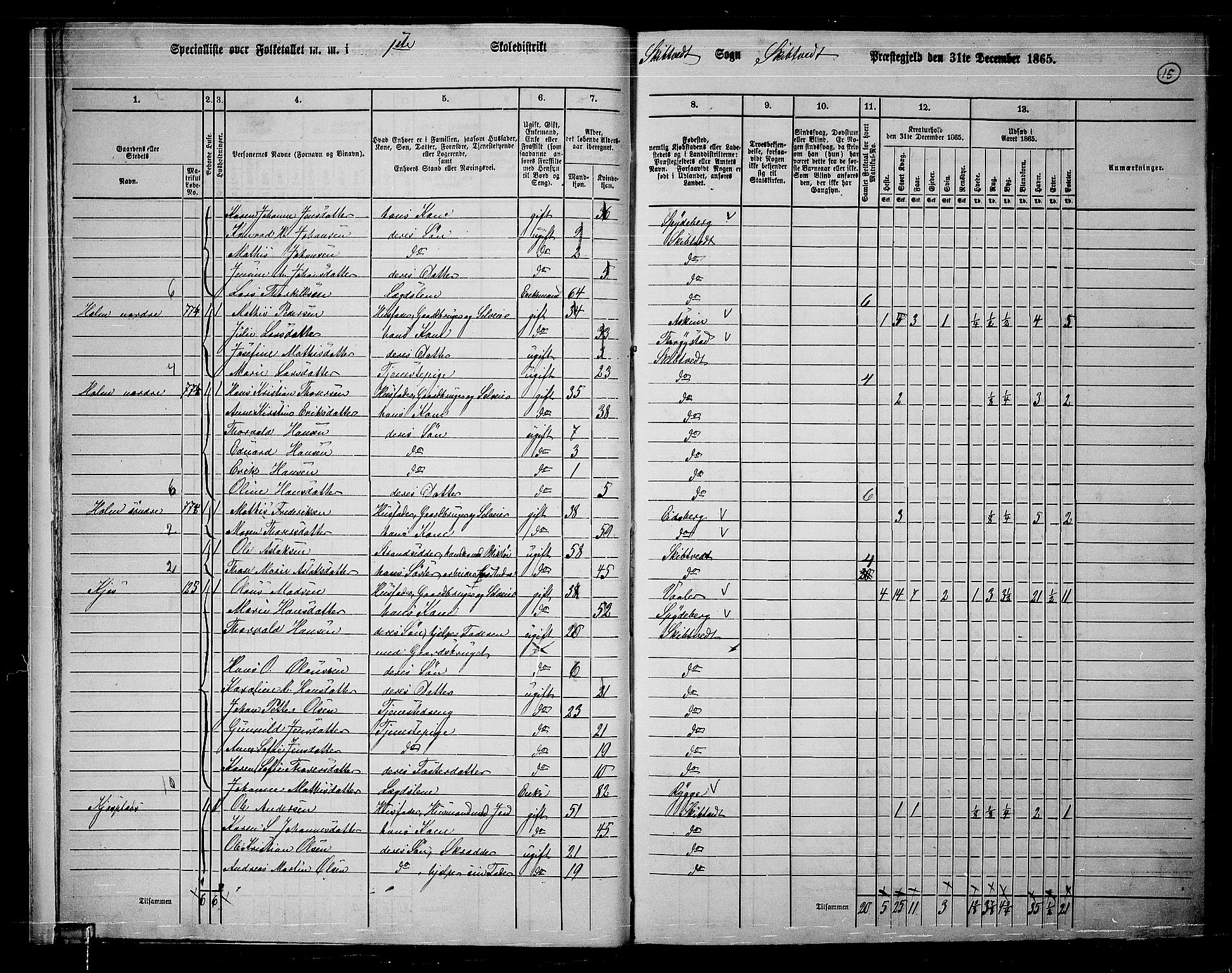 RA, 1865 census for Skiptvet, 1865, p. 14