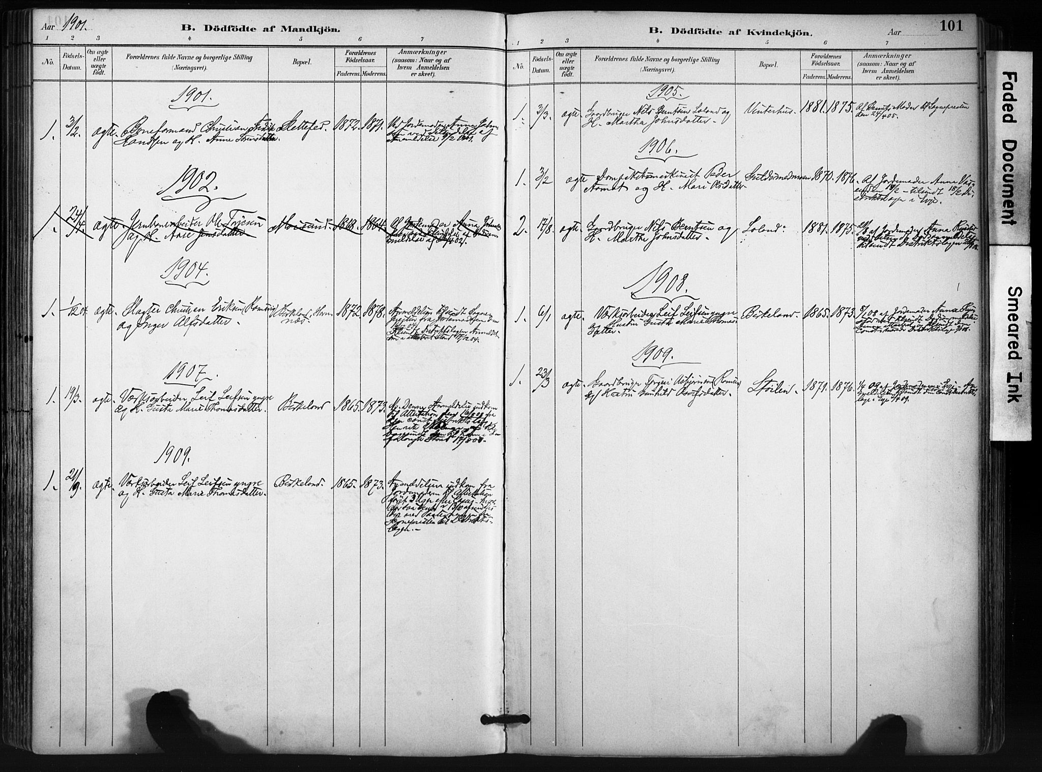 Evje sokneprestkontor, SAK/1111-0008/F/Fa/Fab/L0003: Parish register (official) no. A 3, 1884-1909, p. 101