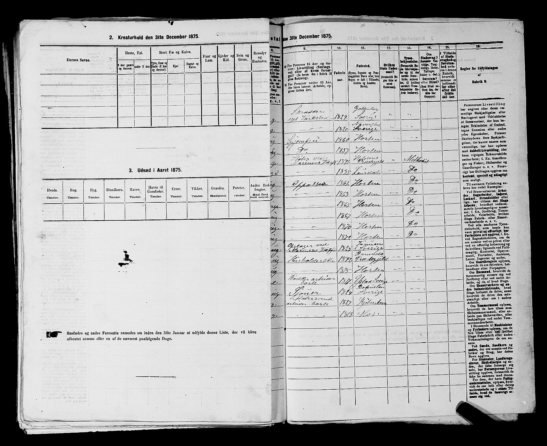 SAKO, 1875 census for 0703P Horten, 1875, p. 1019