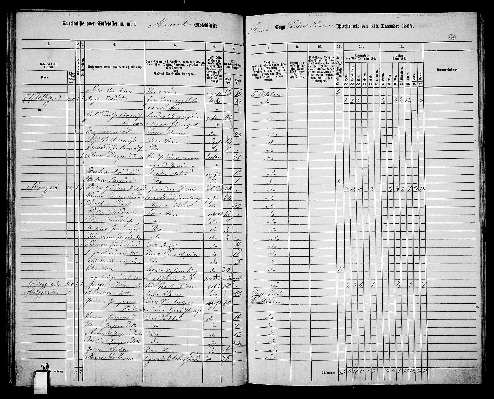 RA, 1865 census for Sør-Odal, 1865, p. 139