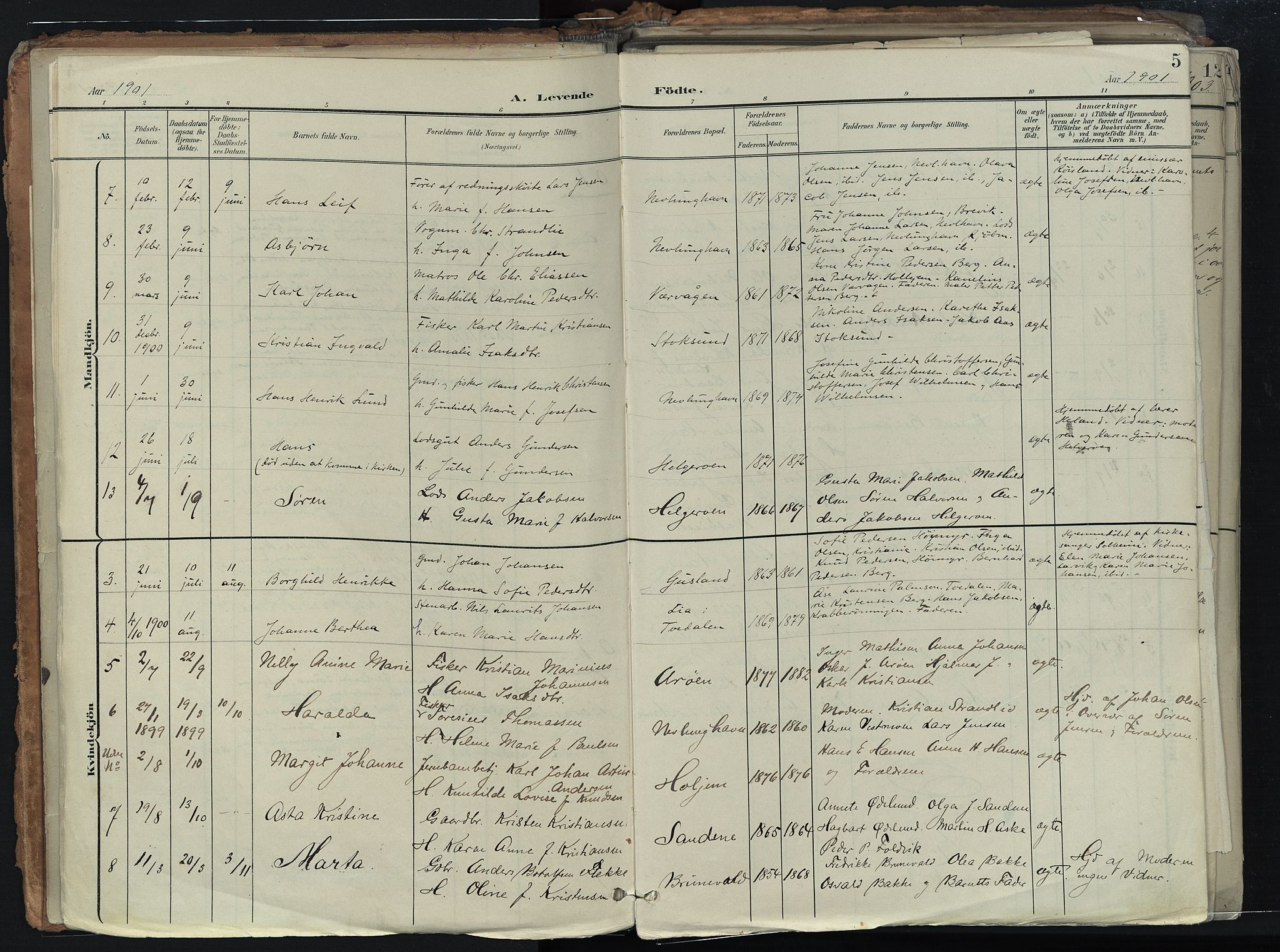 Brunlanes kirkebøker, AV/SAKO-A-342/F/Fb/L0003: Parish register (official) no. II 3, 1900-1922, p. 5