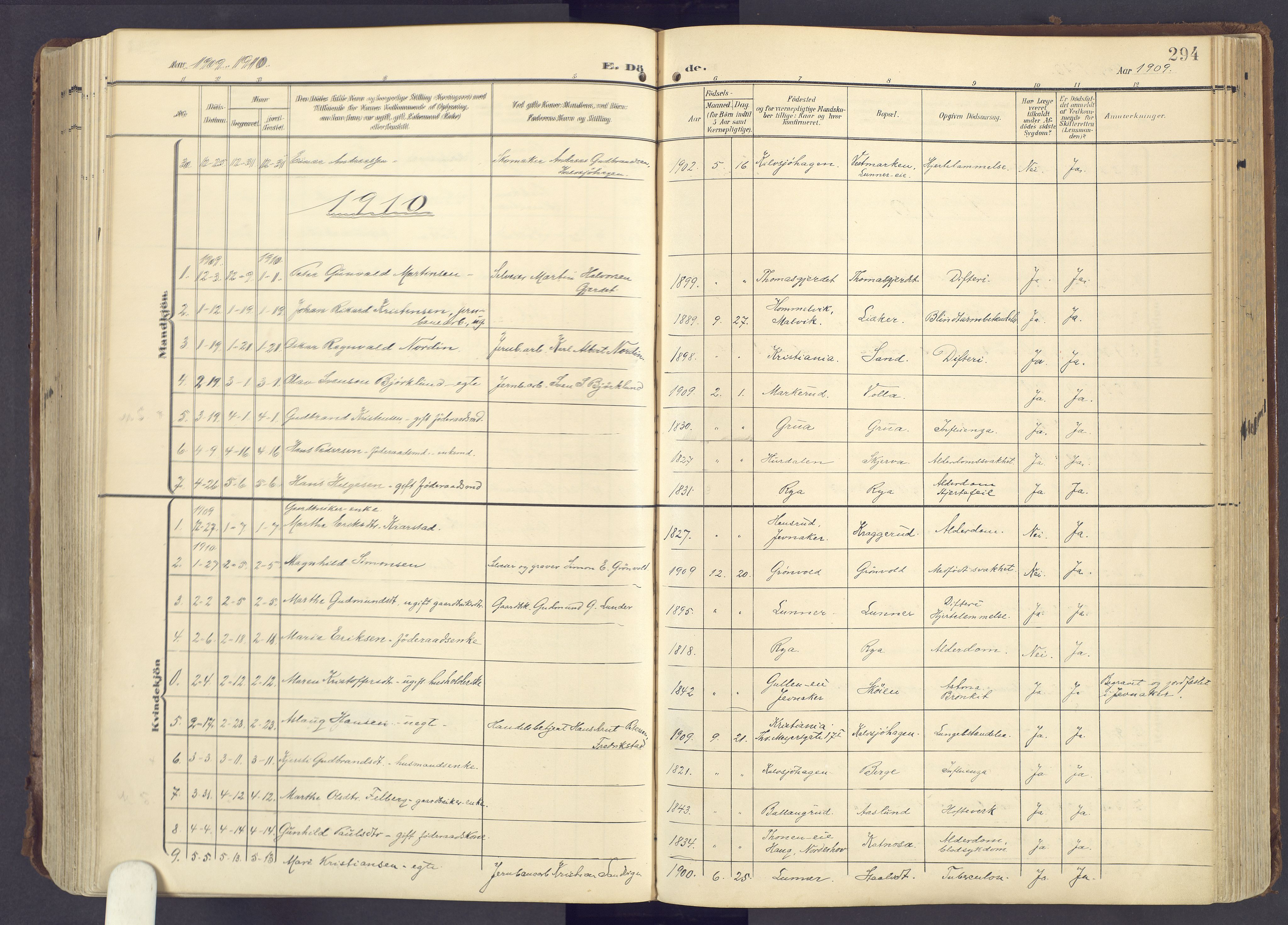 Lunner prestekontor, SAH/PREST-118/H/Ha/Haa/L0001: Parish register (official) no. 1, 1907-1922, p. 294