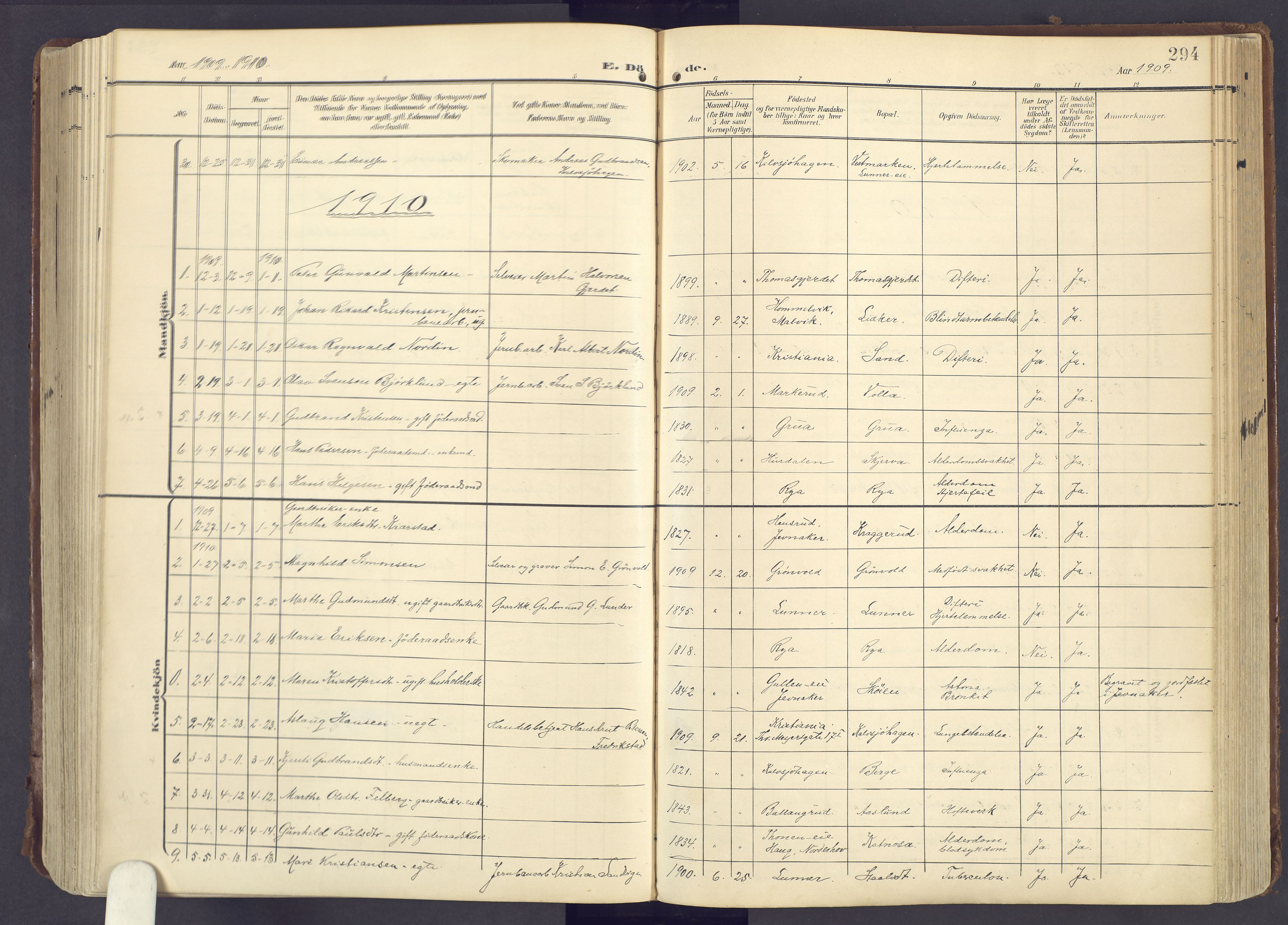 Lunner prestekontor, AV/SAH-PREST-118/H/Ha/Haa/L0001: Parish register (official) no. 1, 1907-1922, p. 294