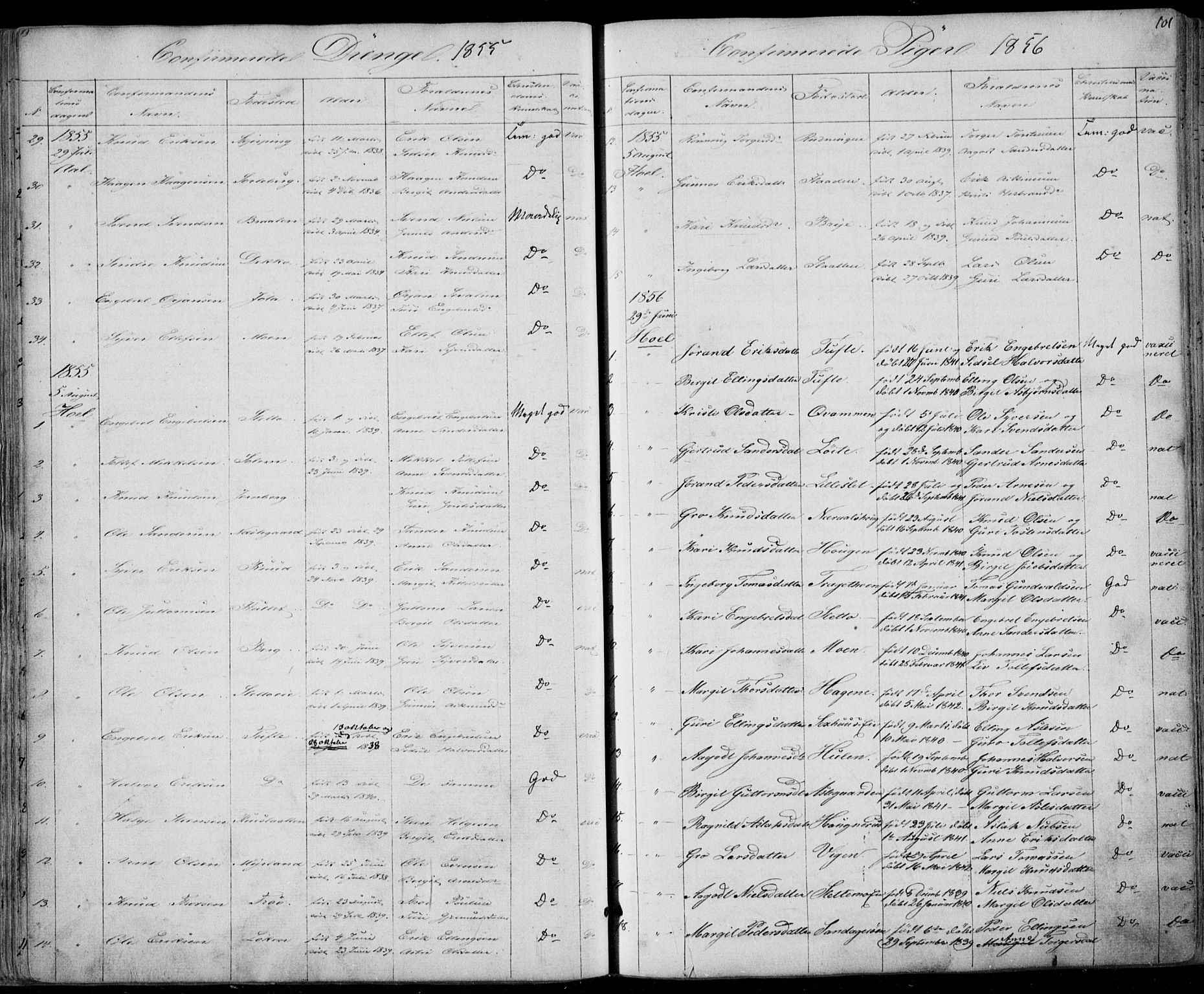 Ål kirkebøker, SAKO/A-249/F/Fa/L0006: Parish register (official) no. I 6, 1849-1864, p. 101
