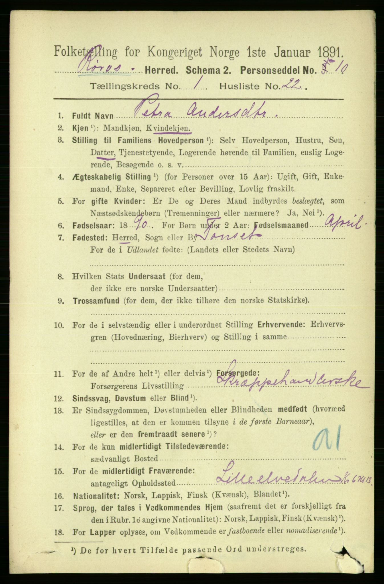 RA, 1891 census for 1640 Røros, 1891, p. 224