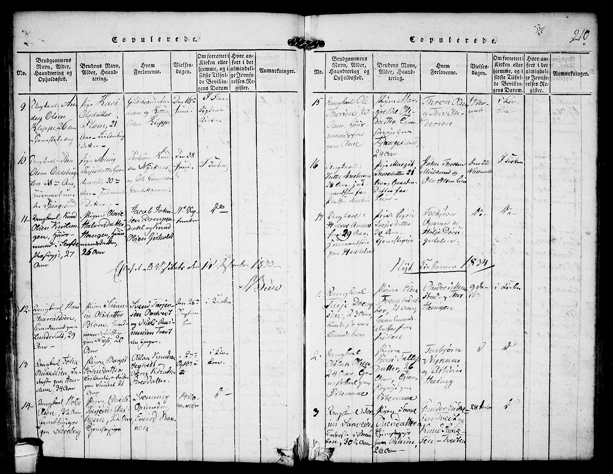 Kviteseid kirkebøker, SAKO/A-276/F/Fa/L0005: Parish register (official) no. I 5, 1815-1836, p. 210
