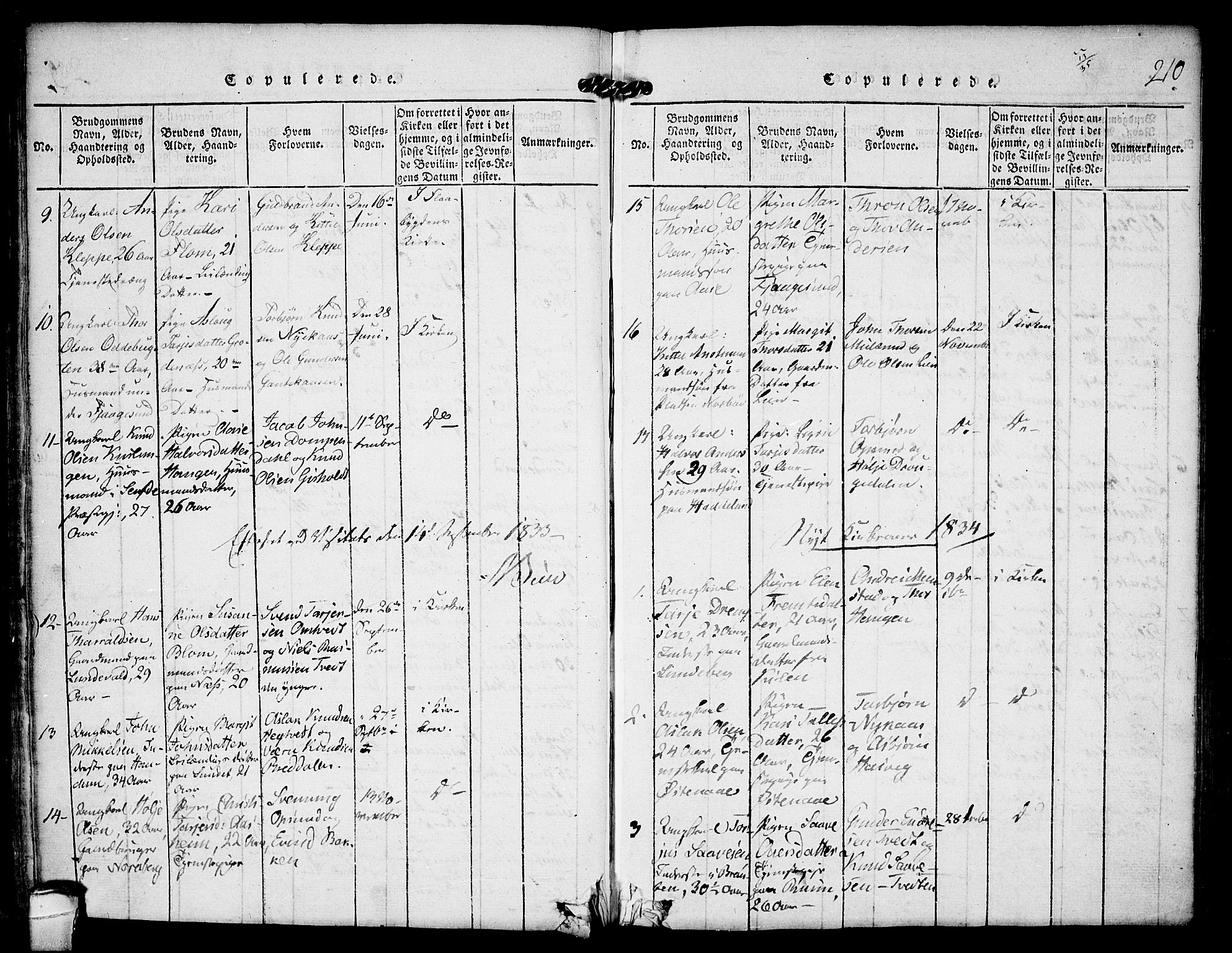 Kviteseid kirkebøker, AV/SAKO-A-276/F/Fa/L0005: Parish register (official) no. I 5, 1815-1836, p. 210