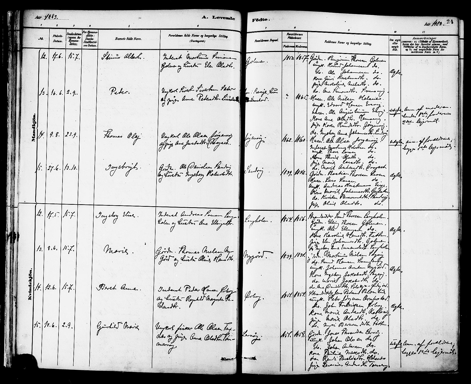 Ministerialprotokoller, klokkerbøker og fødselsregistre - Møre og Romsdal, AV/SAT-A-1454/577/L0896: Parish register (official) no. 577A03, 1880-1898, p. 24