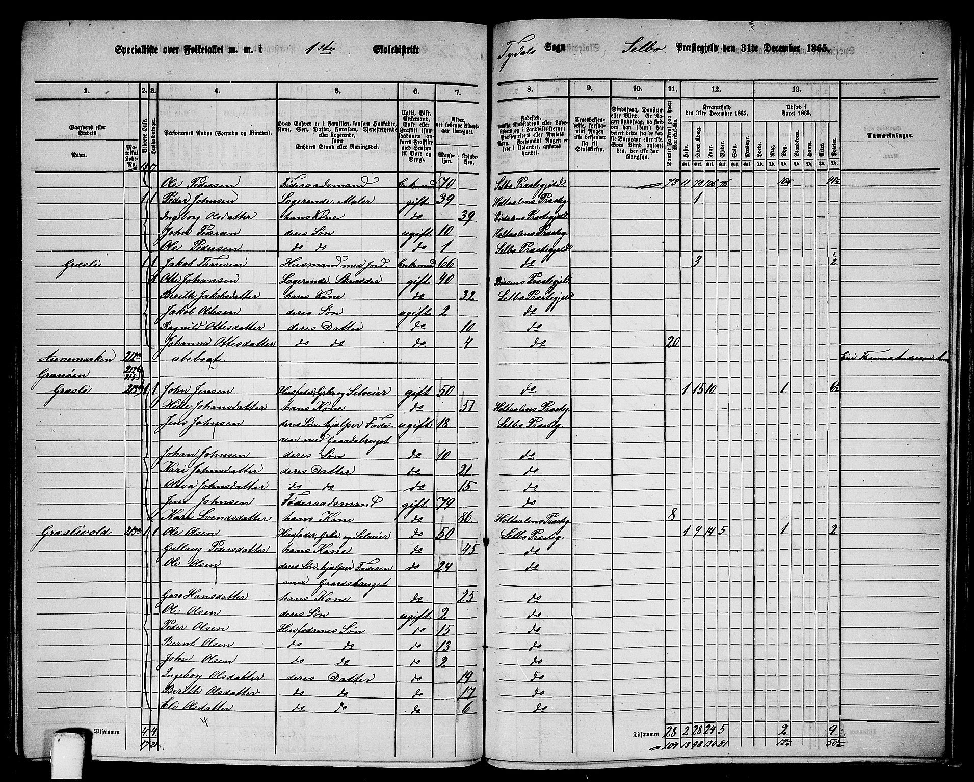 RA, 1865 census for Selbu, 1865, p. 225