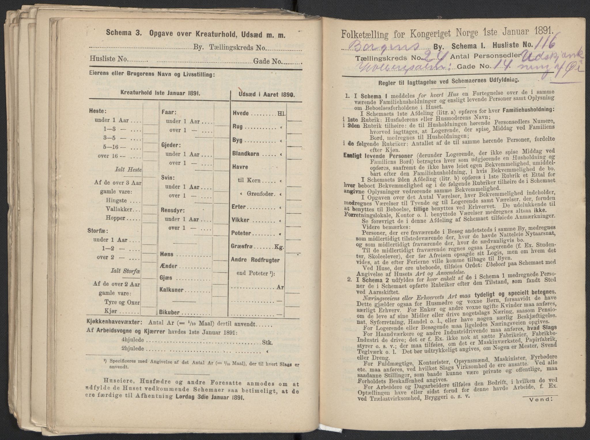 RA, 1891 Census for 1301 Bergen, 1891, p. 4010