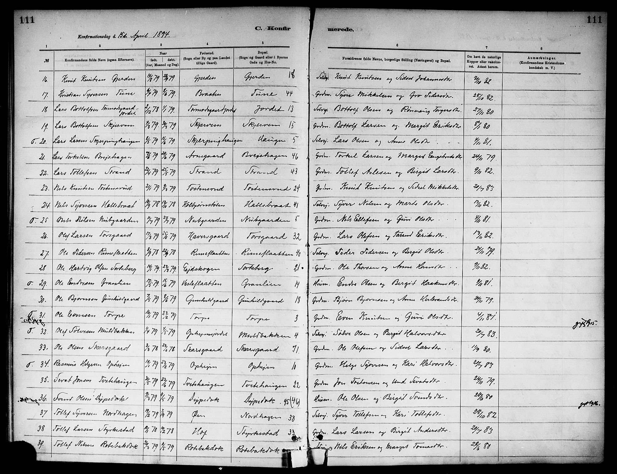 Ål kirkebøker, SAKO/A-249/F/Fa/L0008: Parish register (official) no. I 8, 1882-1896, p. 111