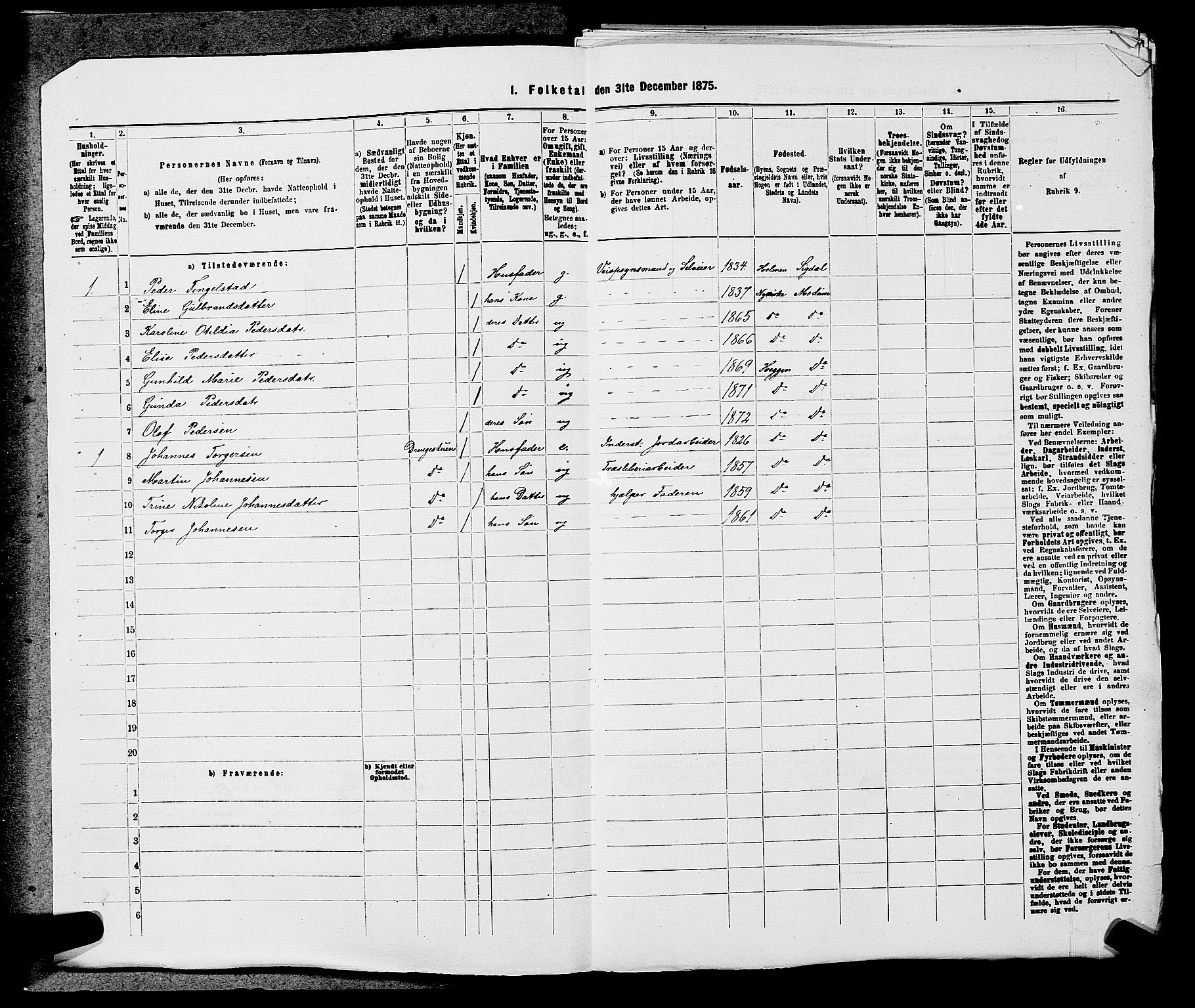 SAKO, 1875 census for 0623P Modum, 1875, p. 732