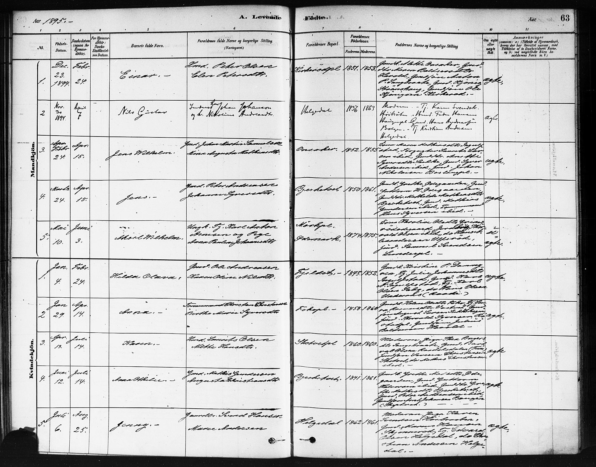 Våler prestekontor Kirkebøker, AV/SAO-A-11083/F/Fb/L0001: Parish register (official) no. II 1, 1878-1896, p. 63