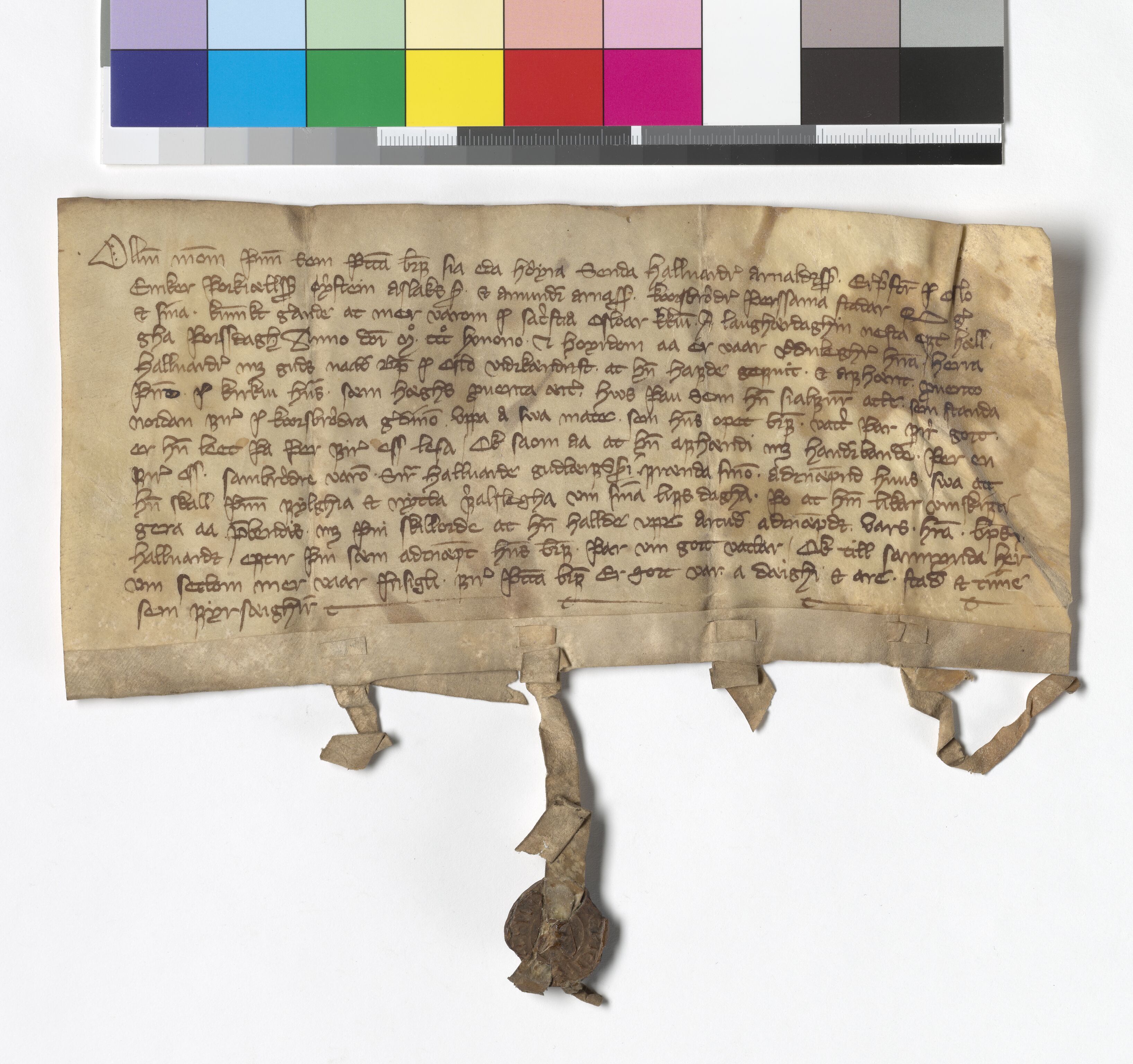 Riksarkivets diplomsamling, AV/RA-EA-5965/F05/L0175: NRA AM fasc. 71 nr. 13-35, 1368-1372, p. 5
