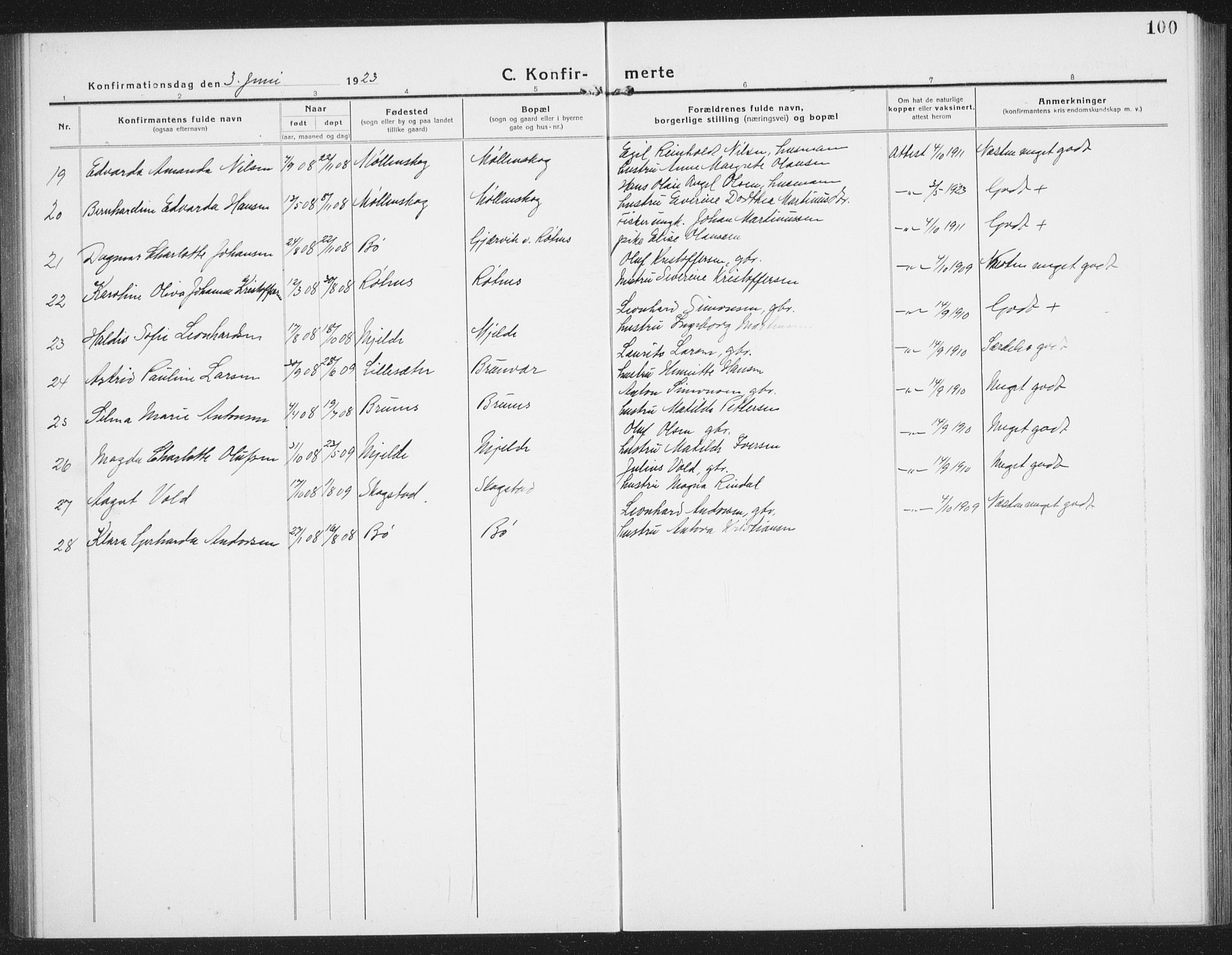 Ministerialprotokoller, klokkerbøker og fødselsregistre - Nordland, AV/SAT-A-1459/855/L0817: Parish register (copy) no. 855C06, 1917-1934, p. 100