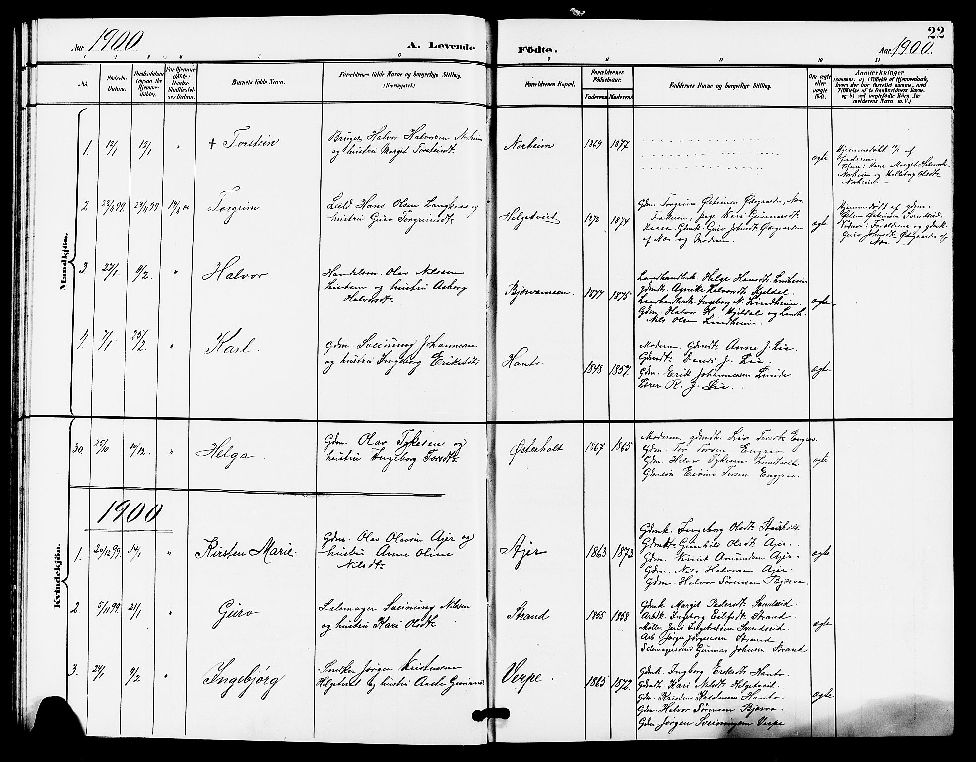 Lunde kirkebøker, SAKO/A-282/G/Ga/L0003: Parish register (copy) no. I 3, 1896-1905, p. 22