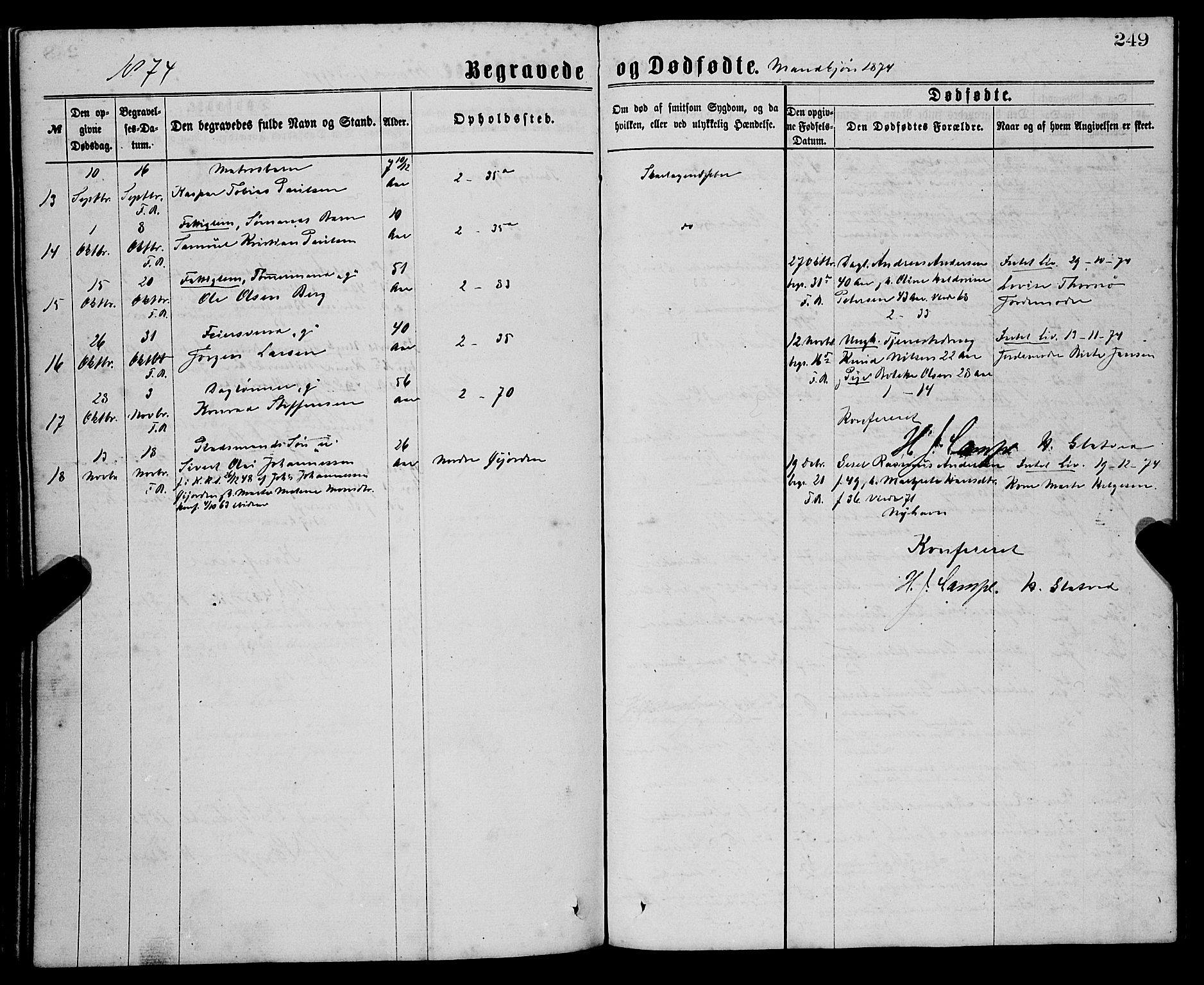 Sandviken Sokneprestembete, SAB/A-77601/H/Ha/L0001: Parish register (official) no. A 1, 1867-1877, p. 249