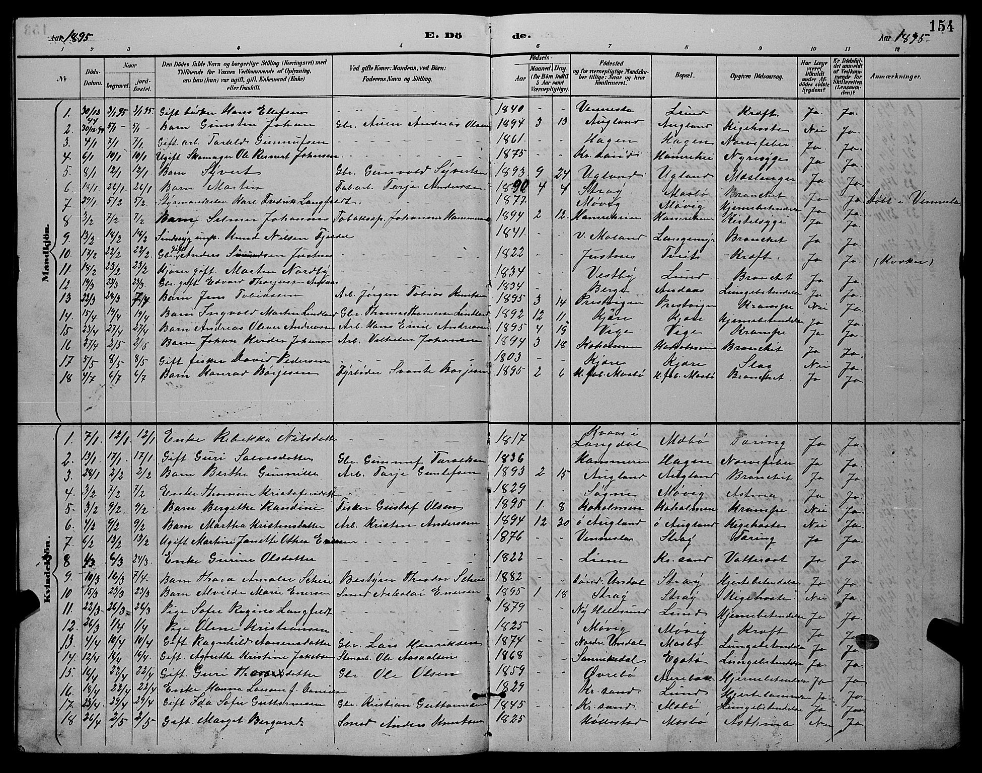 Oddernes sokneprestkontor, AV/SAK-1111-0033/F/Fb/Fba/L0008: Parish register (copy) no. B 8, 1887-1898, p. 154