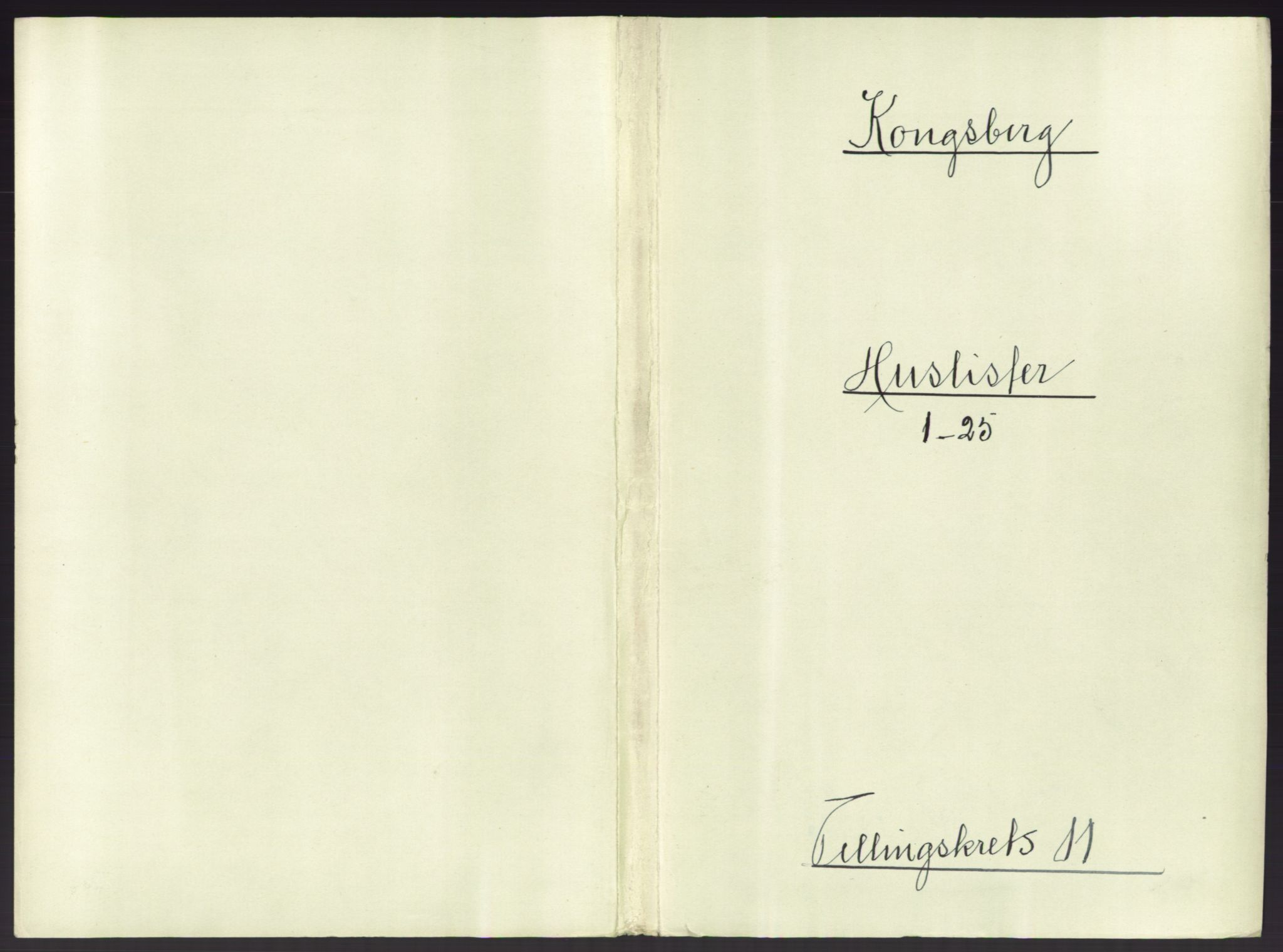 RA, 1891 census for 0604 Kongsberg, 1891, p. 1451