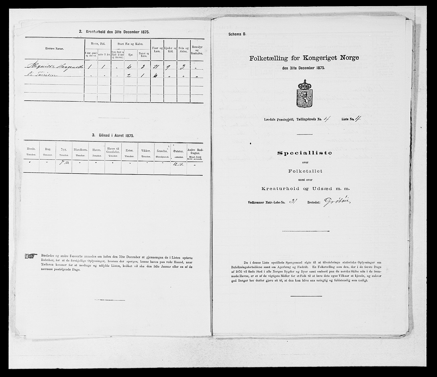 SAB, 1875 census for 1422P Lærdal, 1875, p. 495