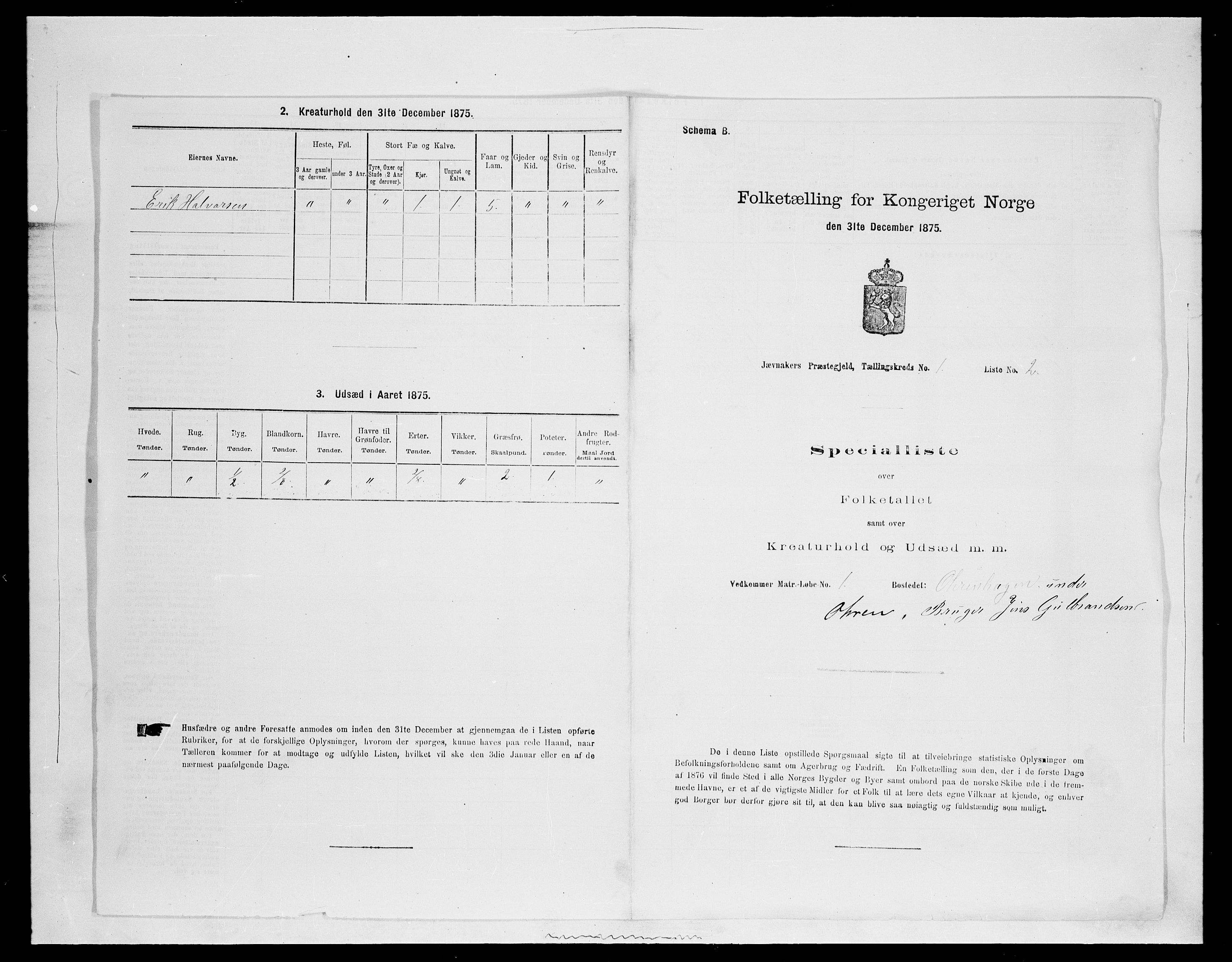 SAH, 1875 census for 0532P Jevnaker, 1875, p. 113