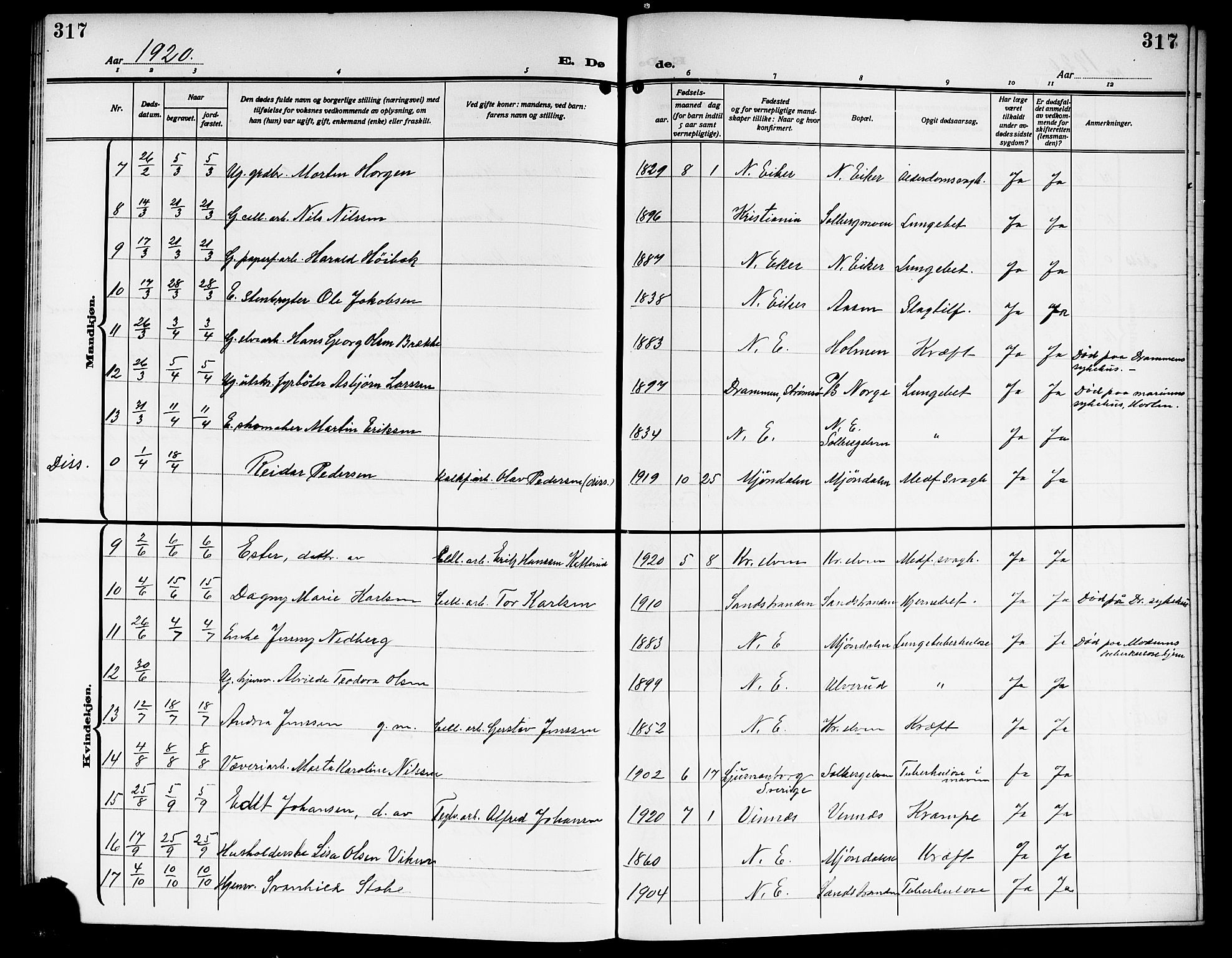 Nedre Eiker kirkebøker, SAKO/A-612/G/Ga/L0005: Parish register (copy) no. 5, 1913-1921, p. 317