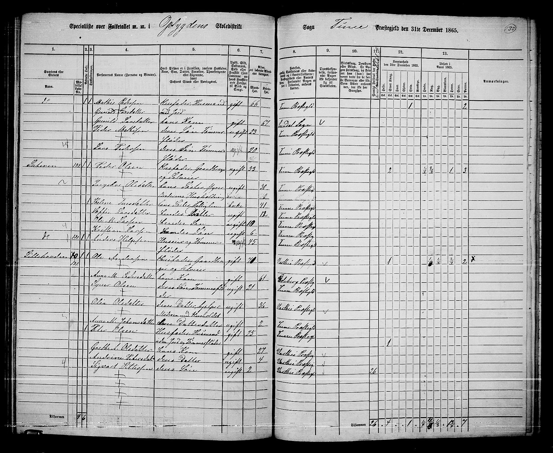 RA, 1865 census for Tune, 1865, p. 212