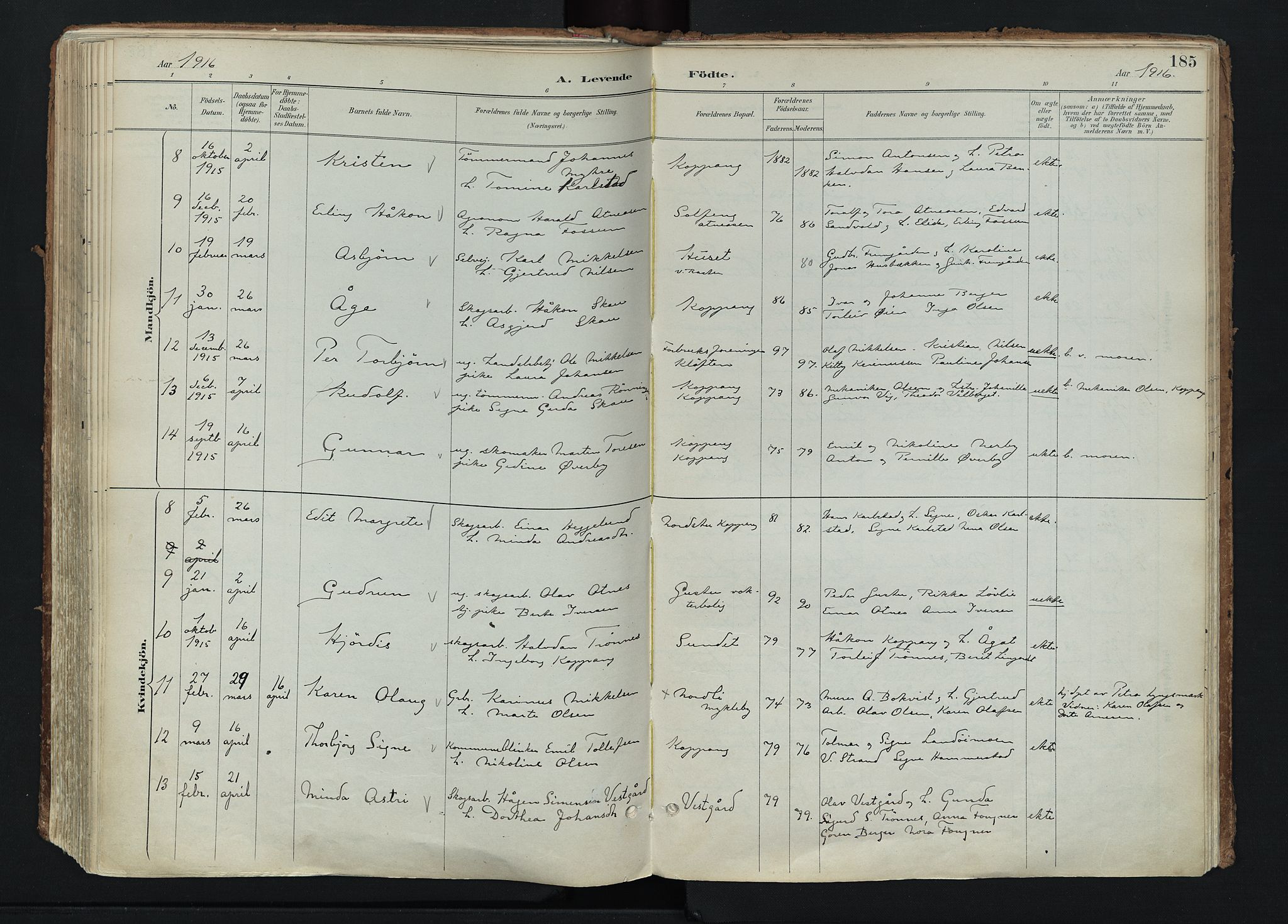 Stor-Elvdal prestekontor, AV/SAH-PREST-052/H/Ha/Haa/L0004: Parish register (official) no. 4, 1890-1922, p. 185