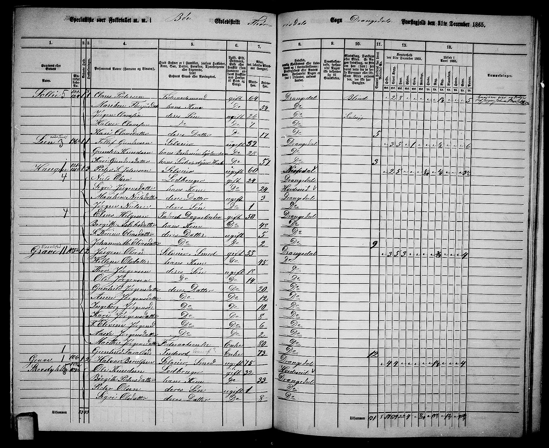 RA, 1865 census for Drangedal, 1865, p. 115