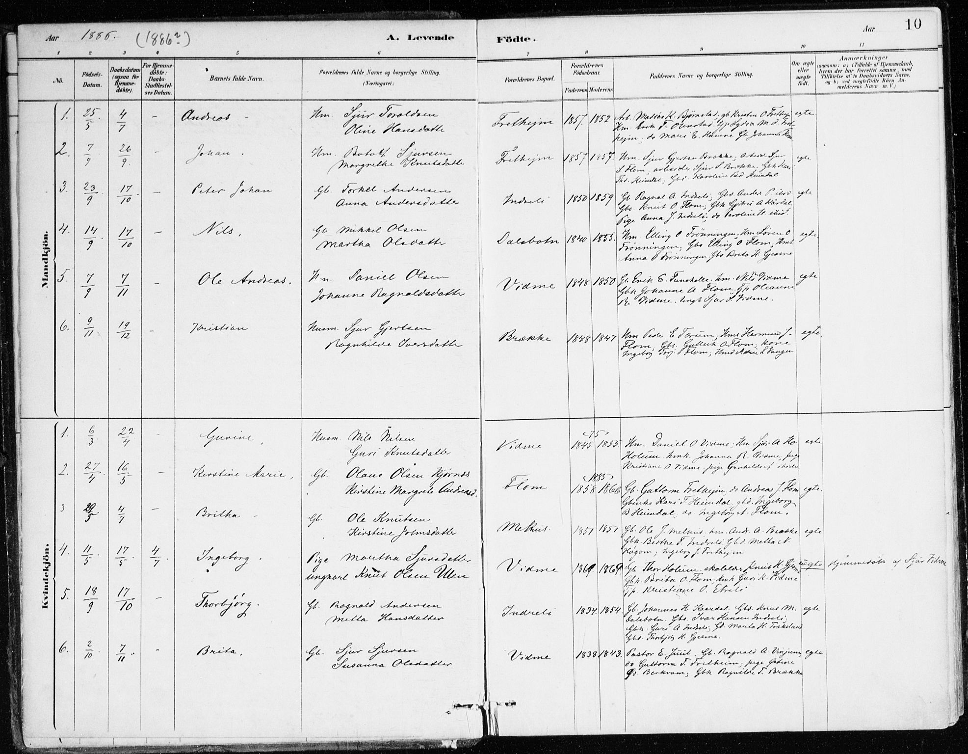 Aurland sokneprestembete, SAB/A-99937/H/Ha/Hac/L0001: Parish register (official) no. C 1, 1880-1921, p. 10
