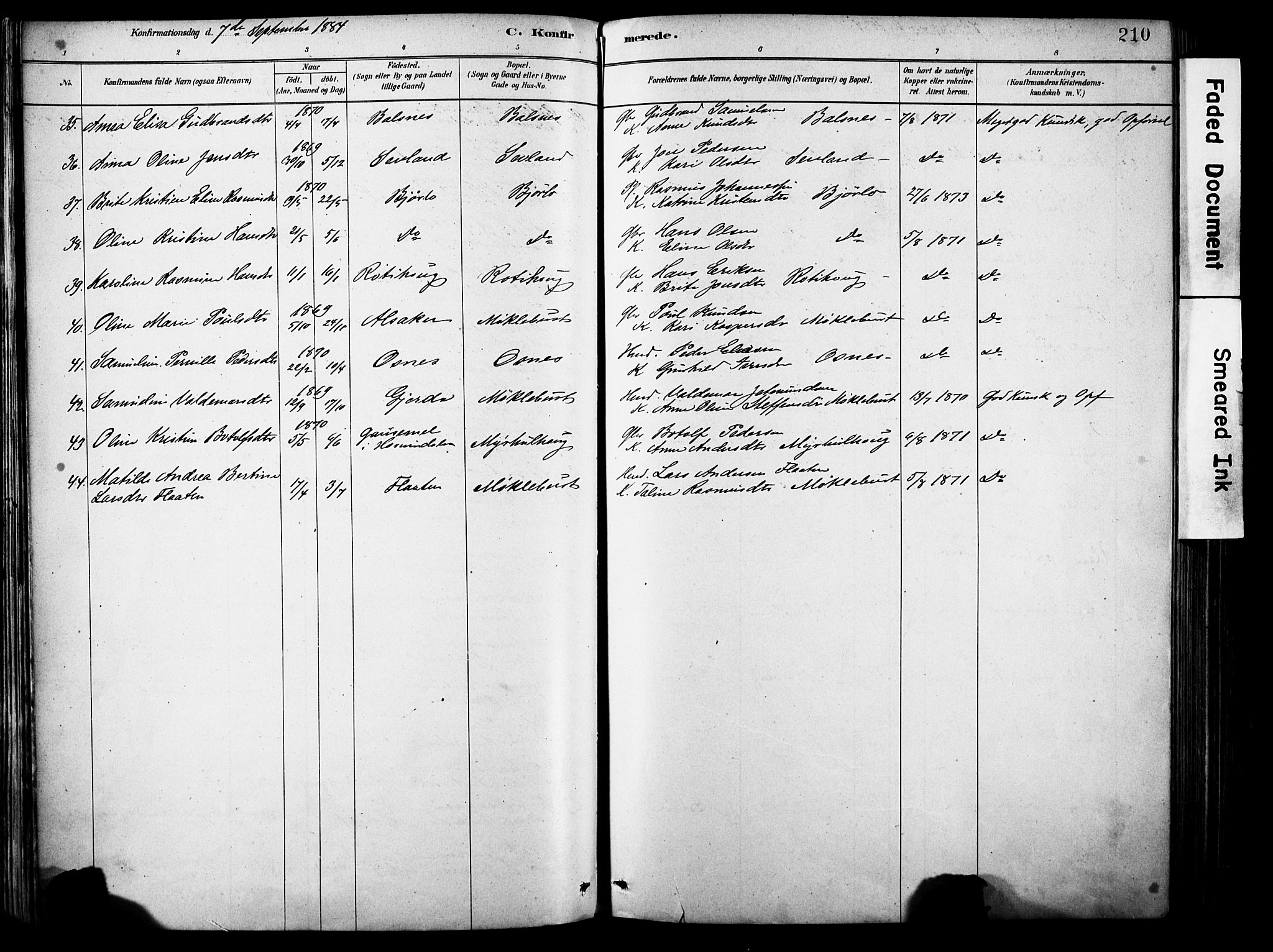 Eid sokneprestembete, AV/SAB-A-82301/H/Haa/Haab/L0001: Parish register (official) no. B 1, 1879-1906, p. 210