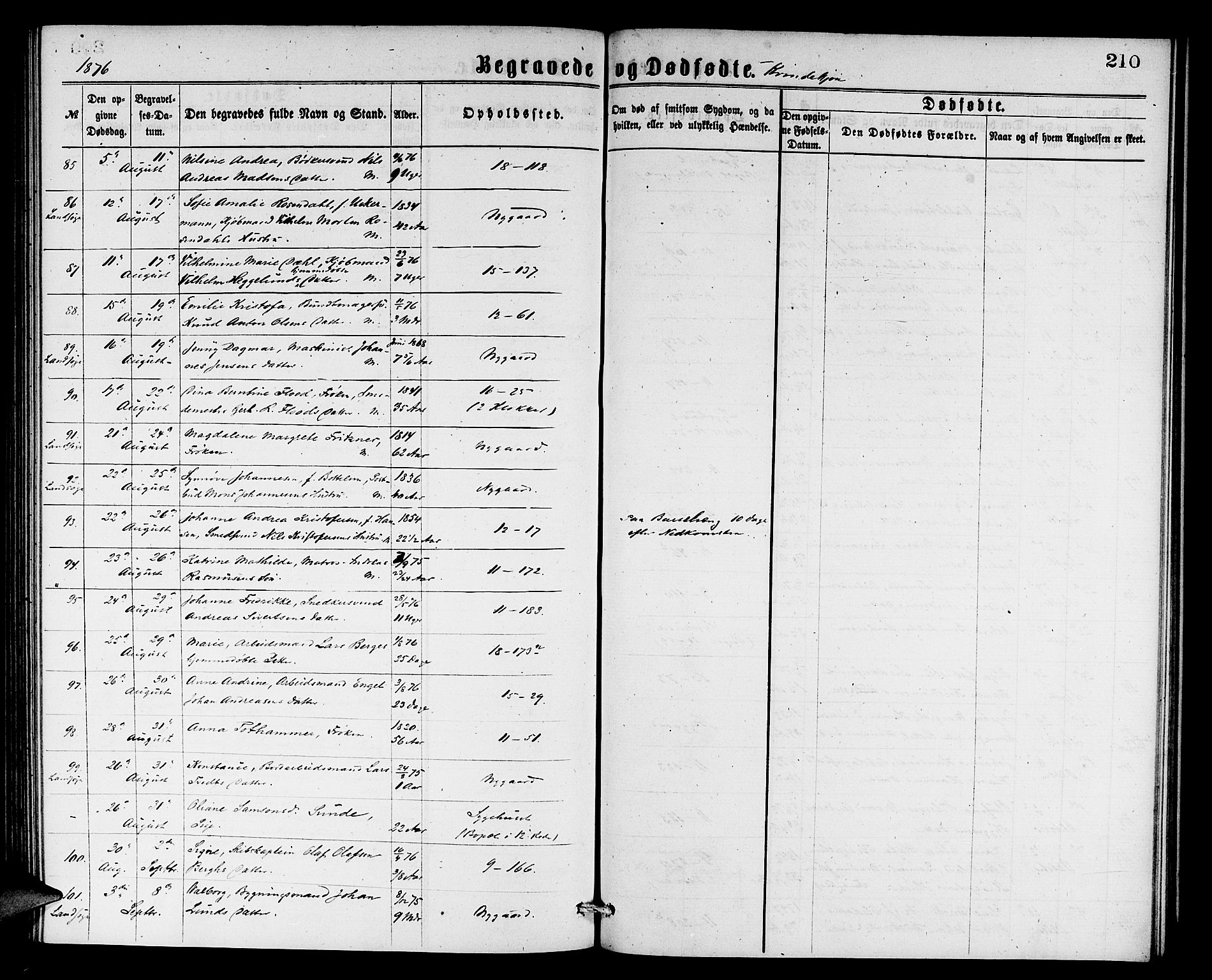 Domkirken sokneprestembete, AV/SAB-A-74801/H/Hab/L0040: Parish register (copy) no. E 4, 1868-1877, p. 210