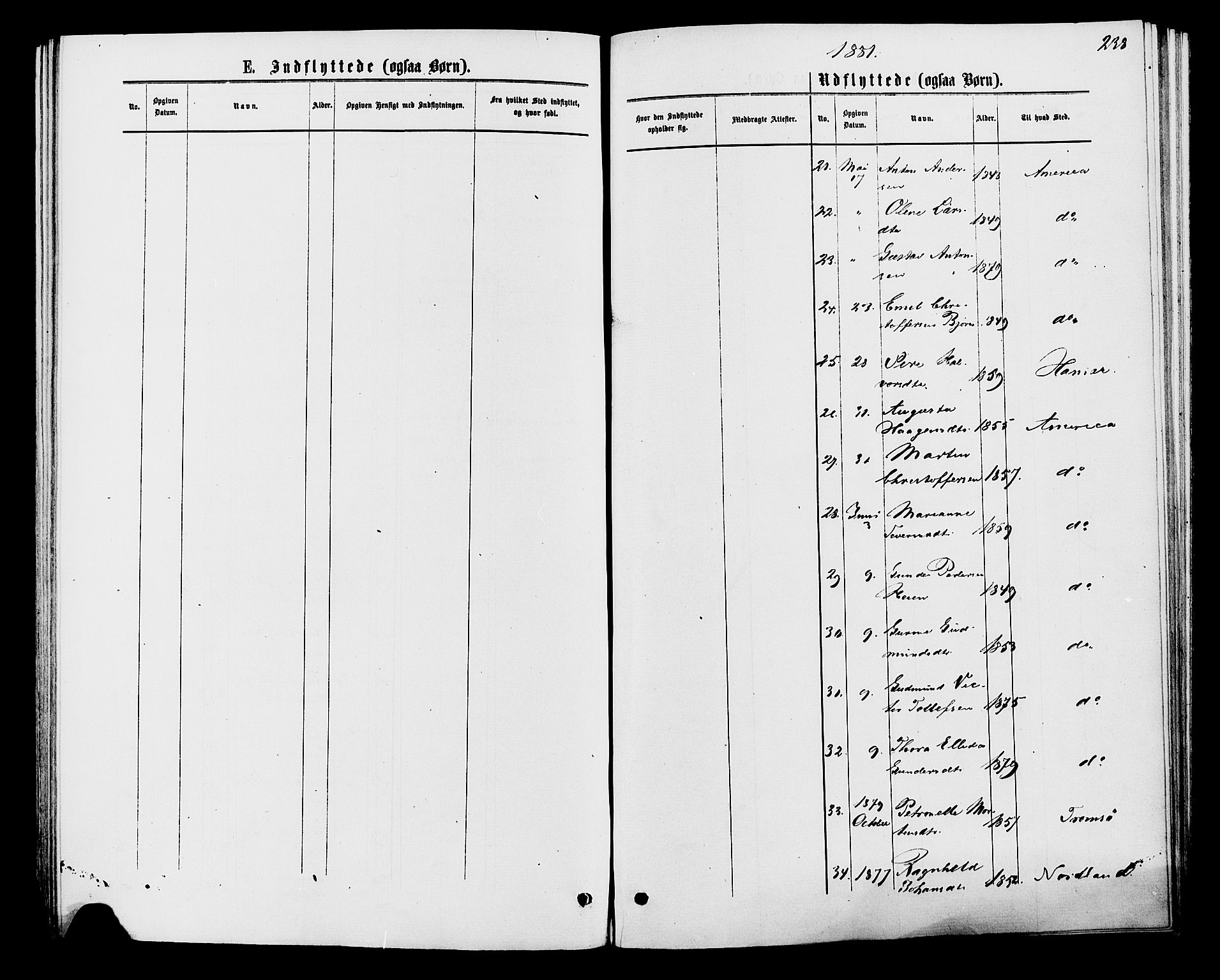 Åmot prestekontor, Hedmark, AV/SAH-PREST-056/H/Ha/Haa/L0009: Parish register (official) no. 9, 1875-1883, p. 238